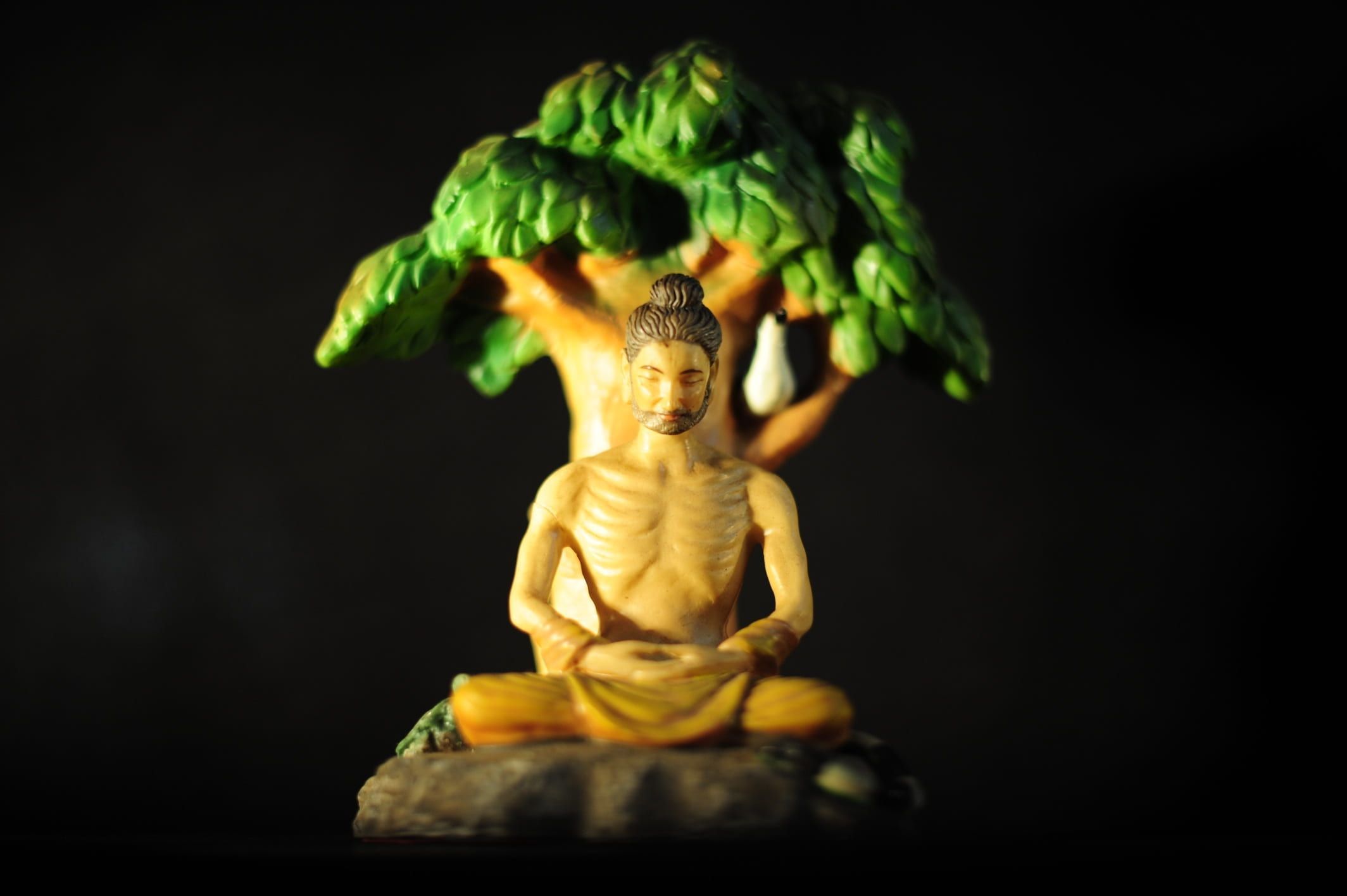 2128x1416 Wallpaper / Representation, Religion, No People, Bodhi Tree, Spiritual, Close Up, Serene, Statue, Sculpture, Food, Male Likeness, Meditation, Food And Drink, Peace Free Download