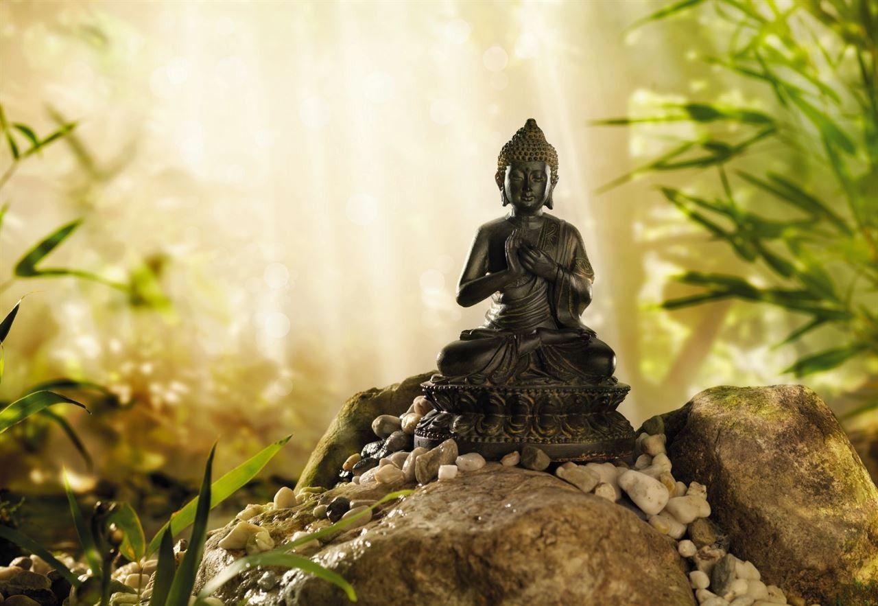 🔥 Beautiful Nature Buddha Mobile Phone HD Wallpaper | MyGodImages