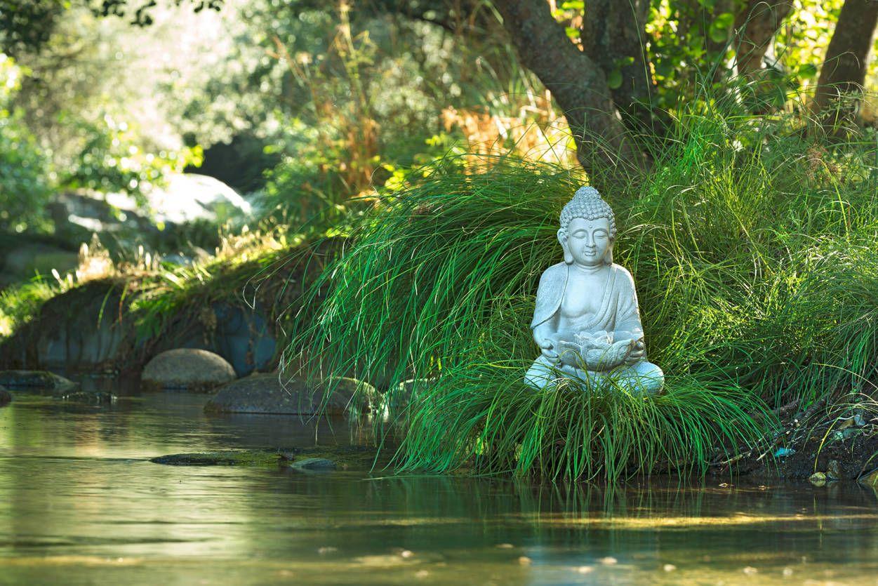 Nature Buddha Wallpapers Top Free Nature Buddha Backgrounds