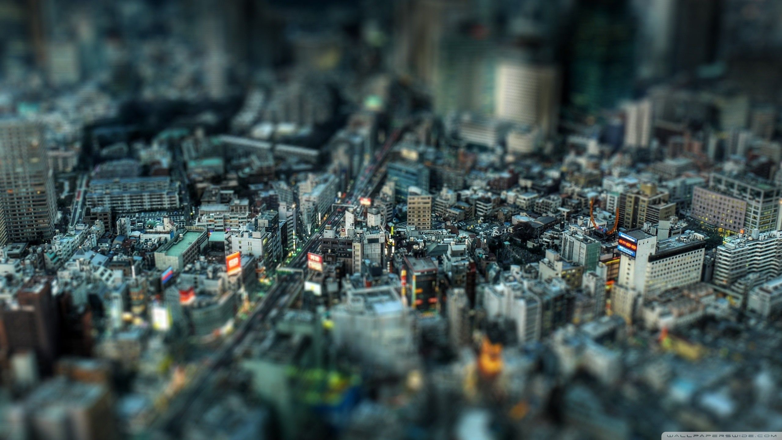 2560x1440 Wallpaper 2560 X 1440