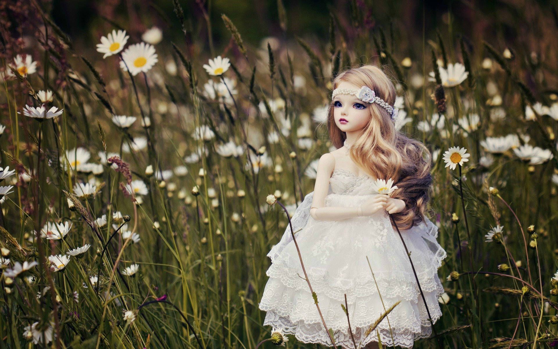 1920x1200 Doll Background Free Download