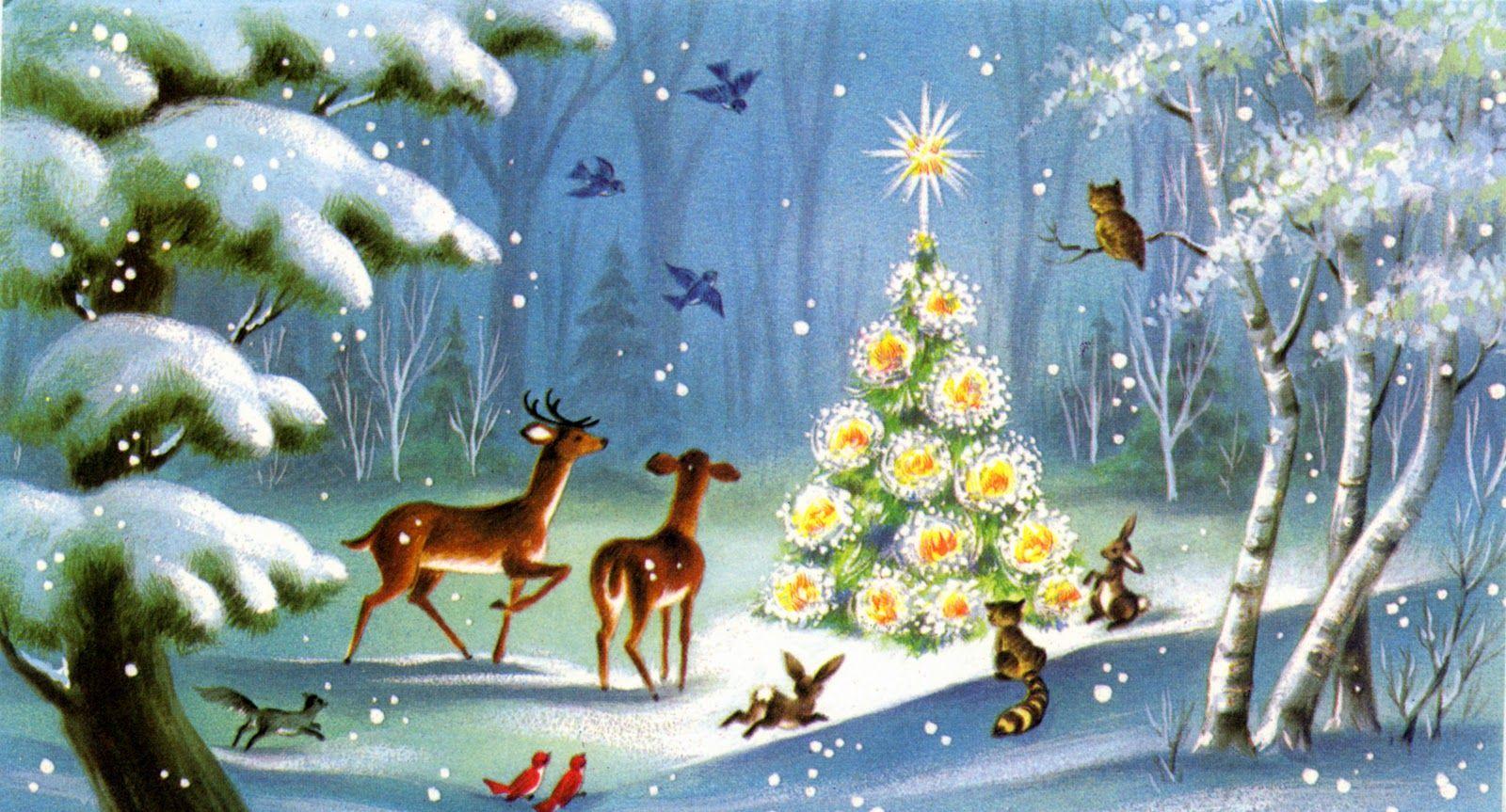 1600x863 HWFD Animal Scene Christmas Cards wallpaper 1600 x 863