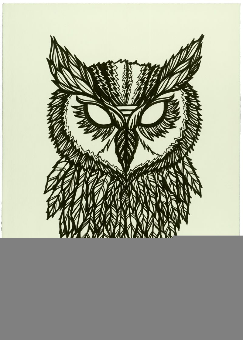 800x1120 Owl Drawing Photo