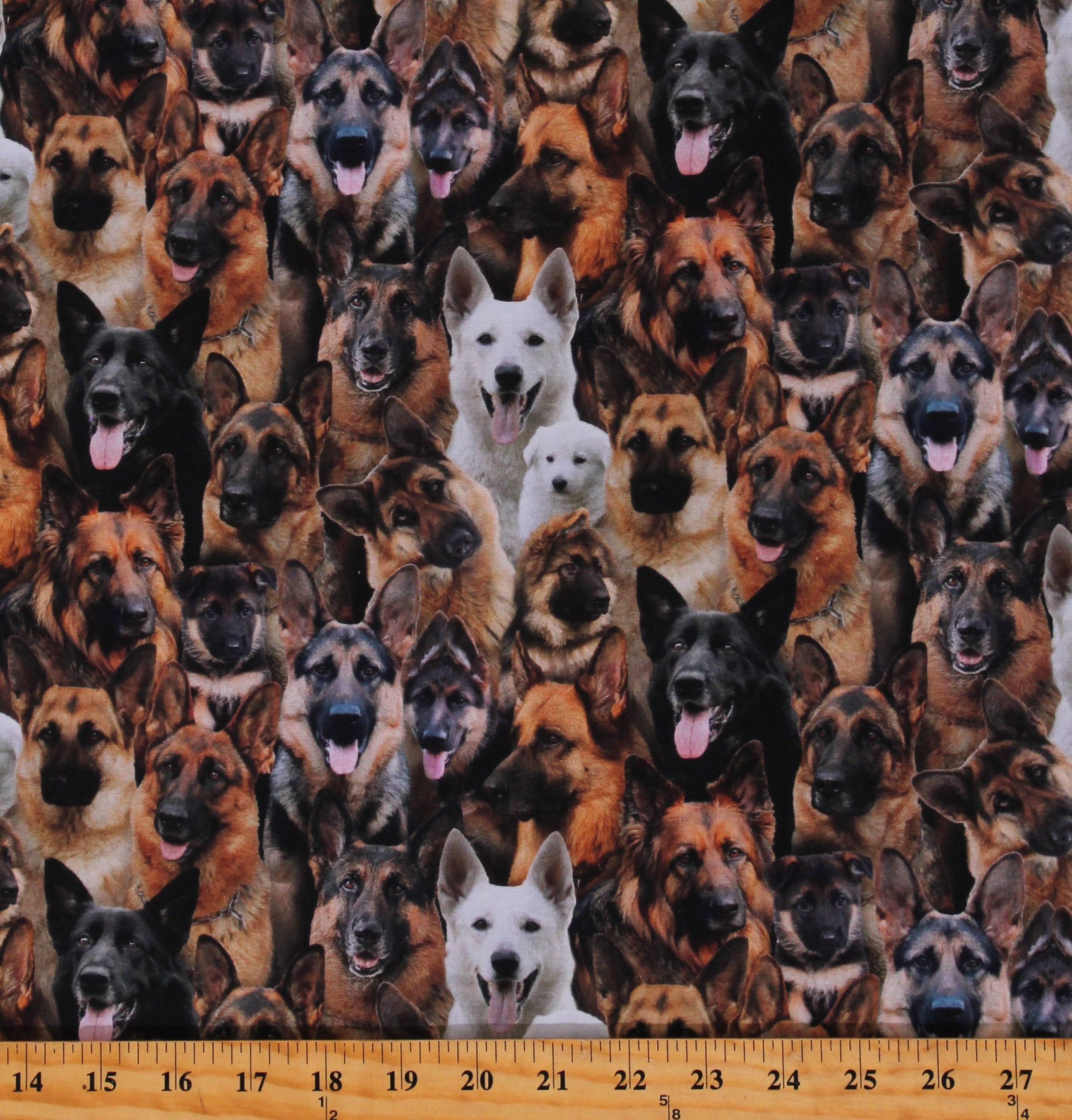2233x2334 Cotton German Shepherds Multi Color White Shepherds Dog Breeds