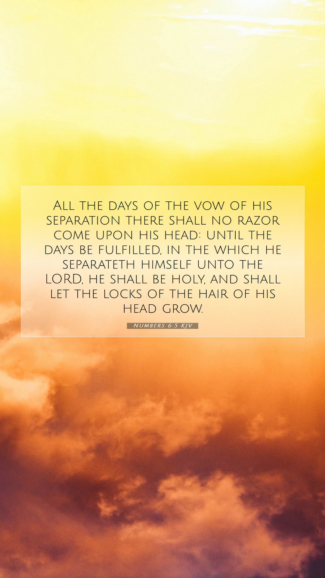 1080x1920 Numbers 6:5 KJV Mobile Phone Wallpaper the days of the vow of his separation there