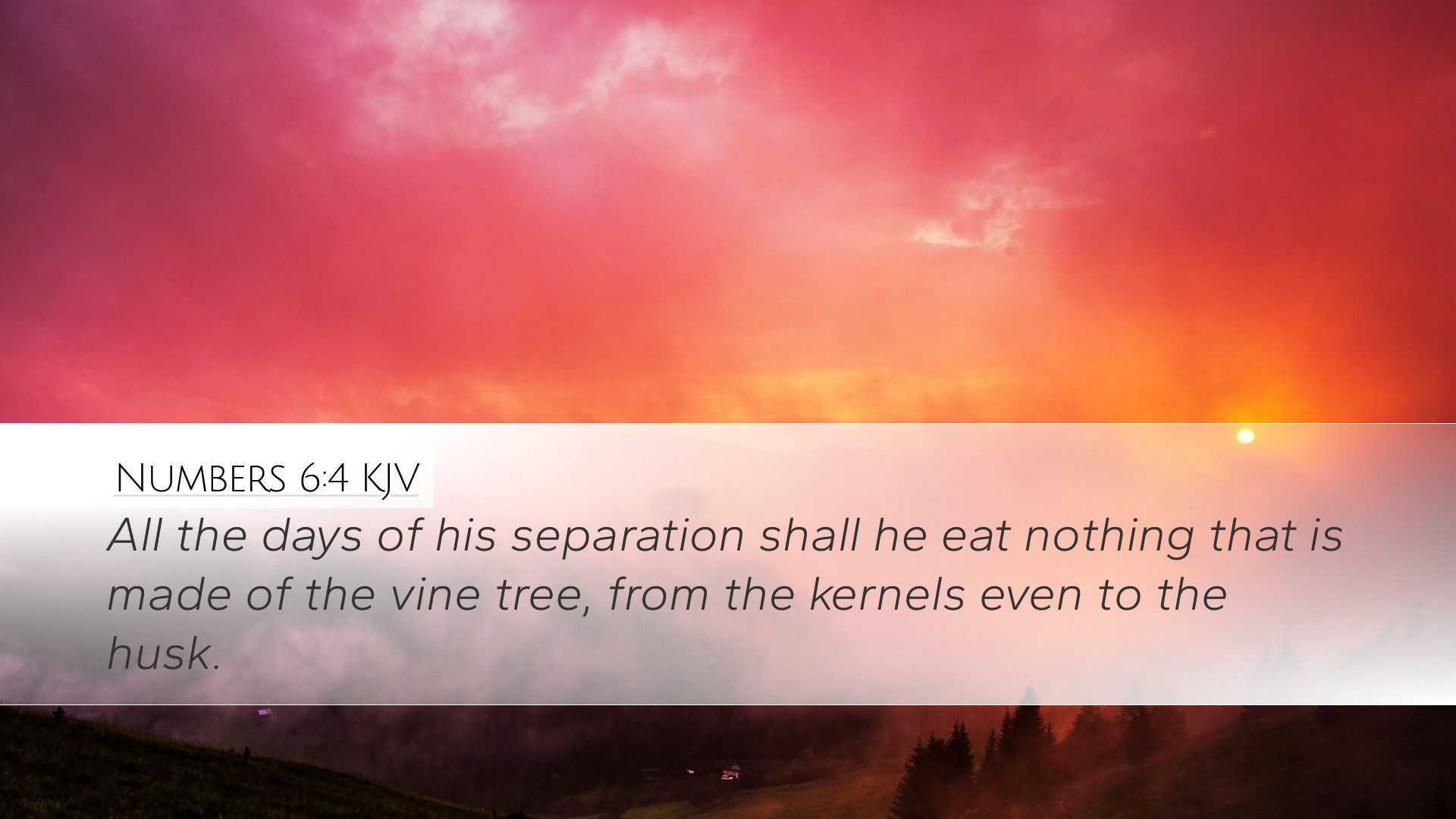 1920x1080 Numbers 6:4 KJV Desktop Wallpaper the days of his separation shall he eat