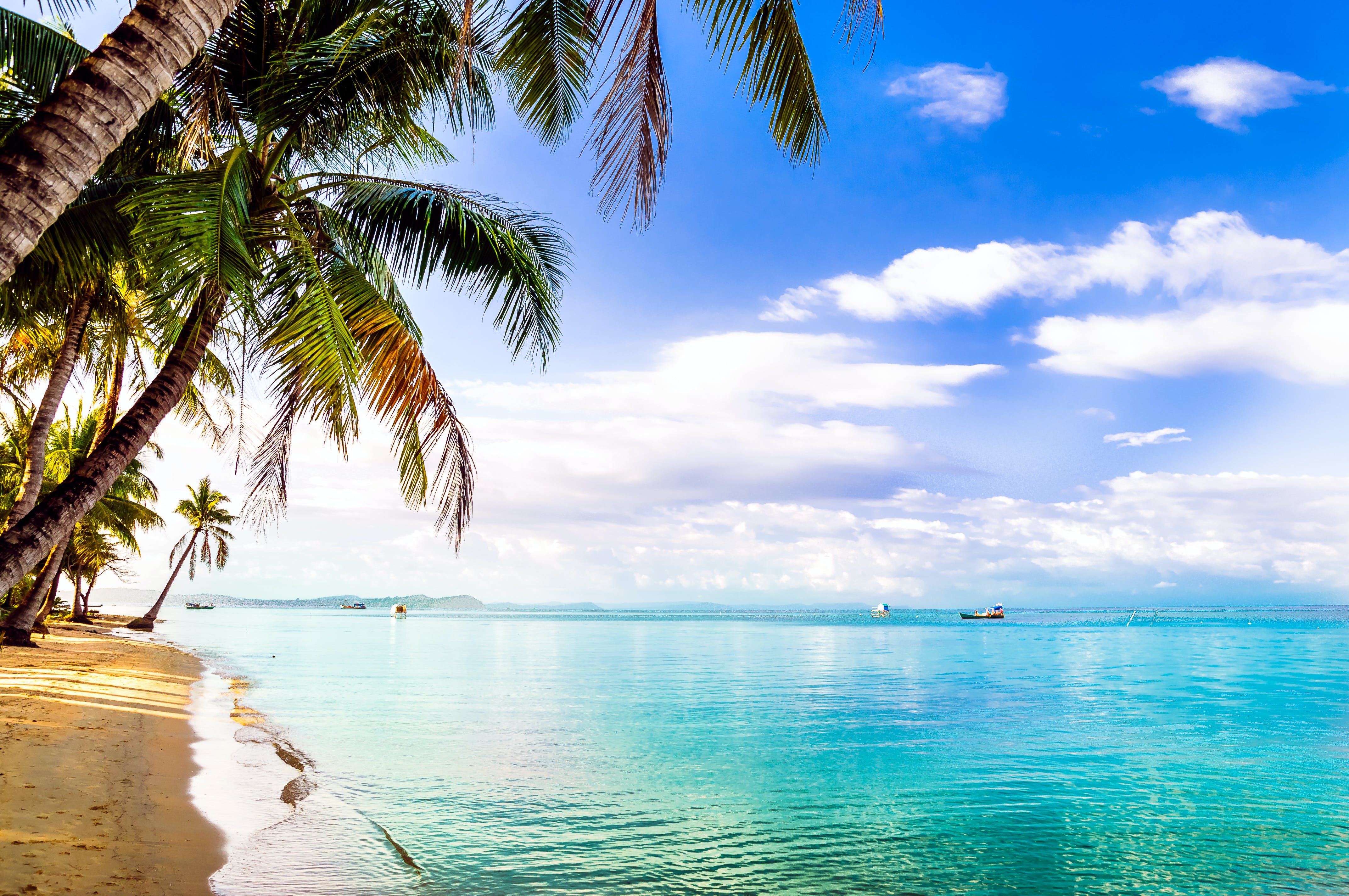 4288x2848 Things to do in Phu Quoc Island : Museums and attractions