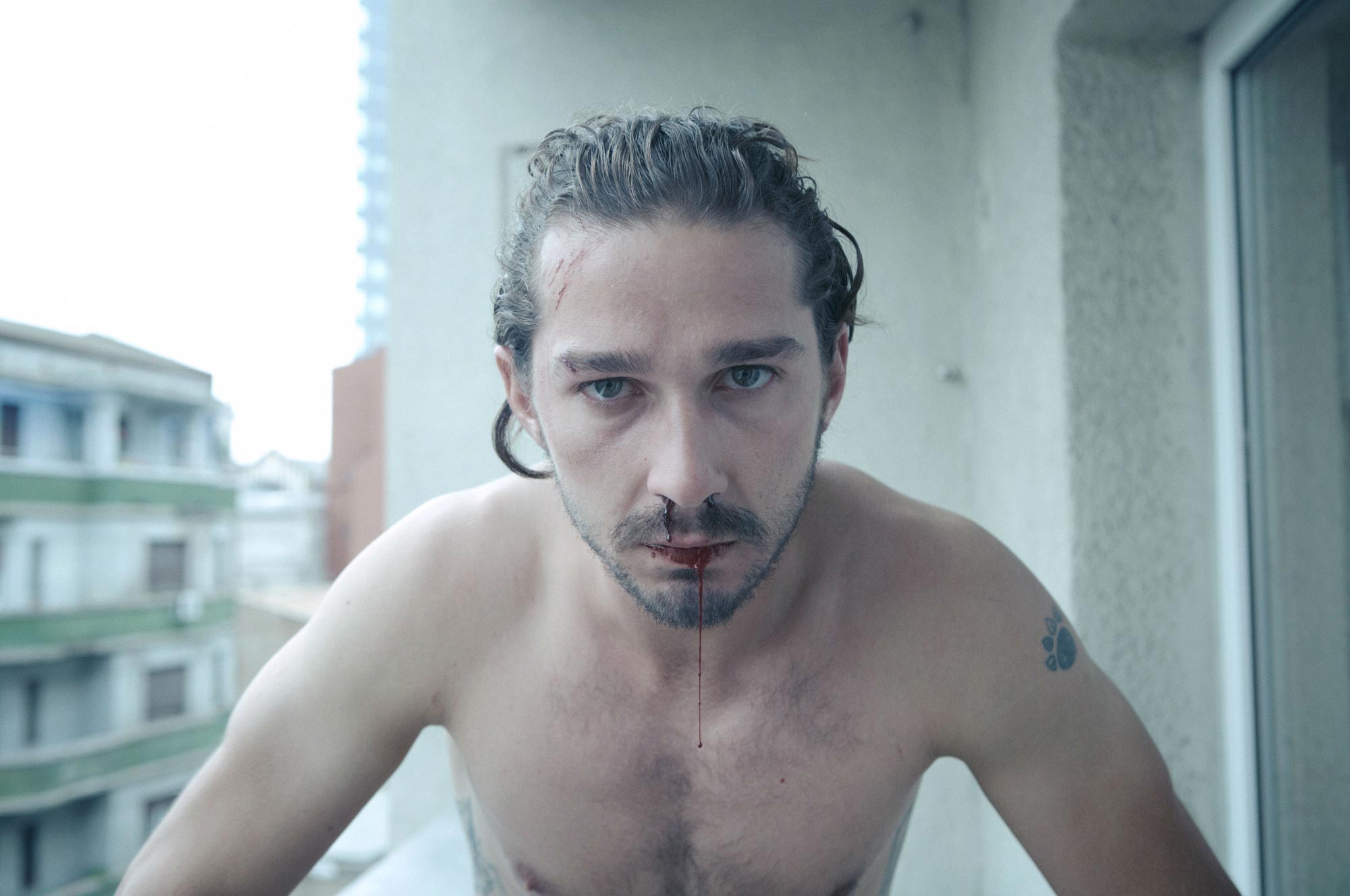 2000x1328 Celebrity Shia Labeouf HD Wallpaper