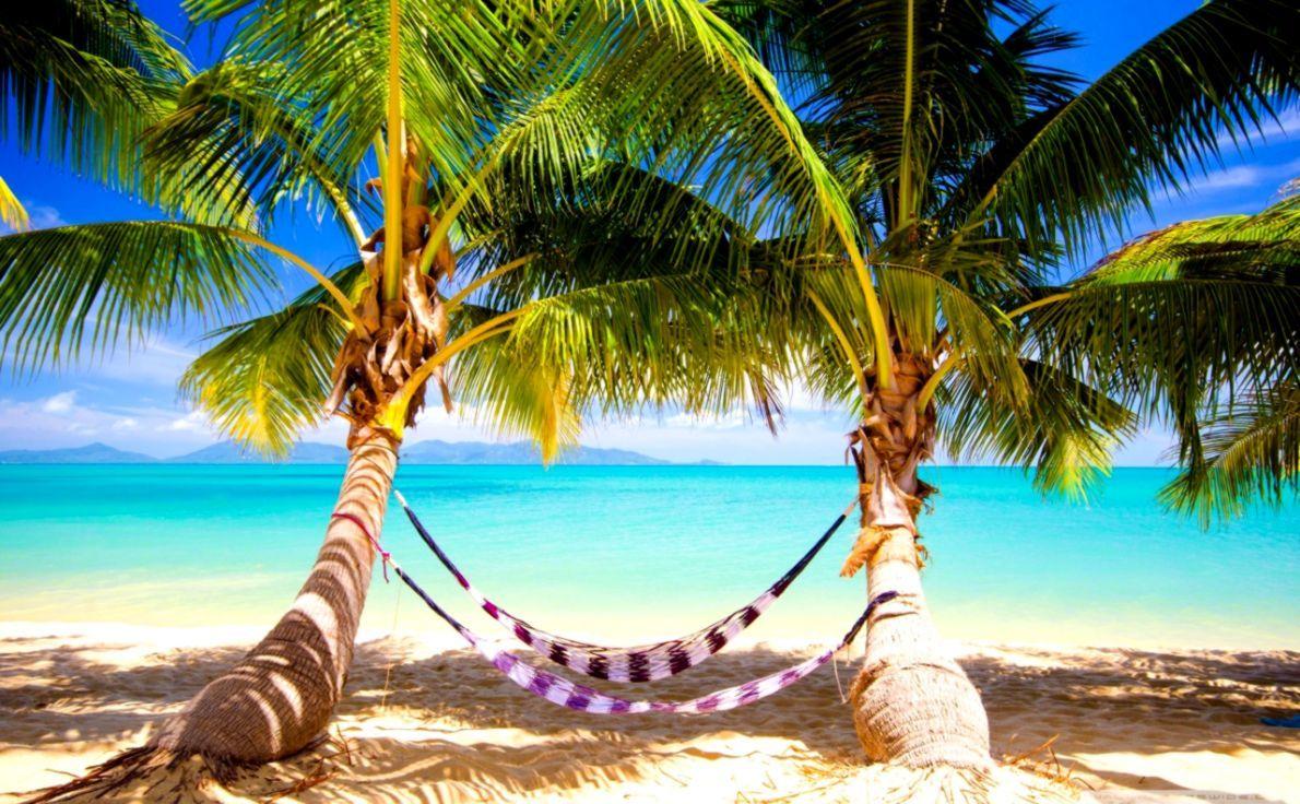 1190x736 Tropical Beach Wallpaper Hammock