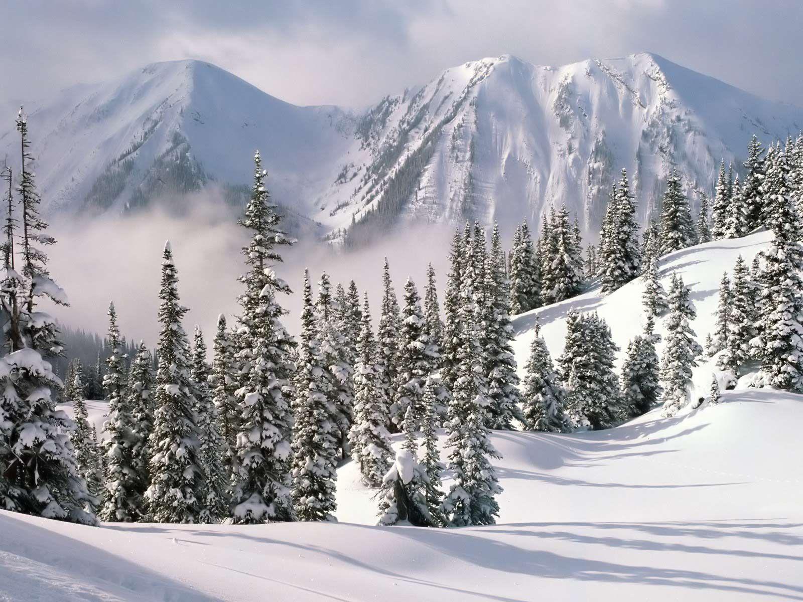 1600x1200 Gallery For Winter Background For Desktop Winter Background For