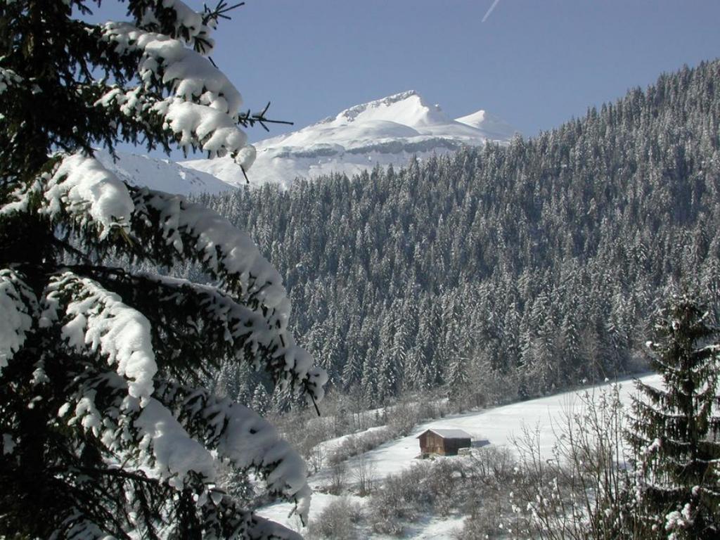 1024x768 A Rocky Mountain Winter. Evergreen's Big Chili Cook Off