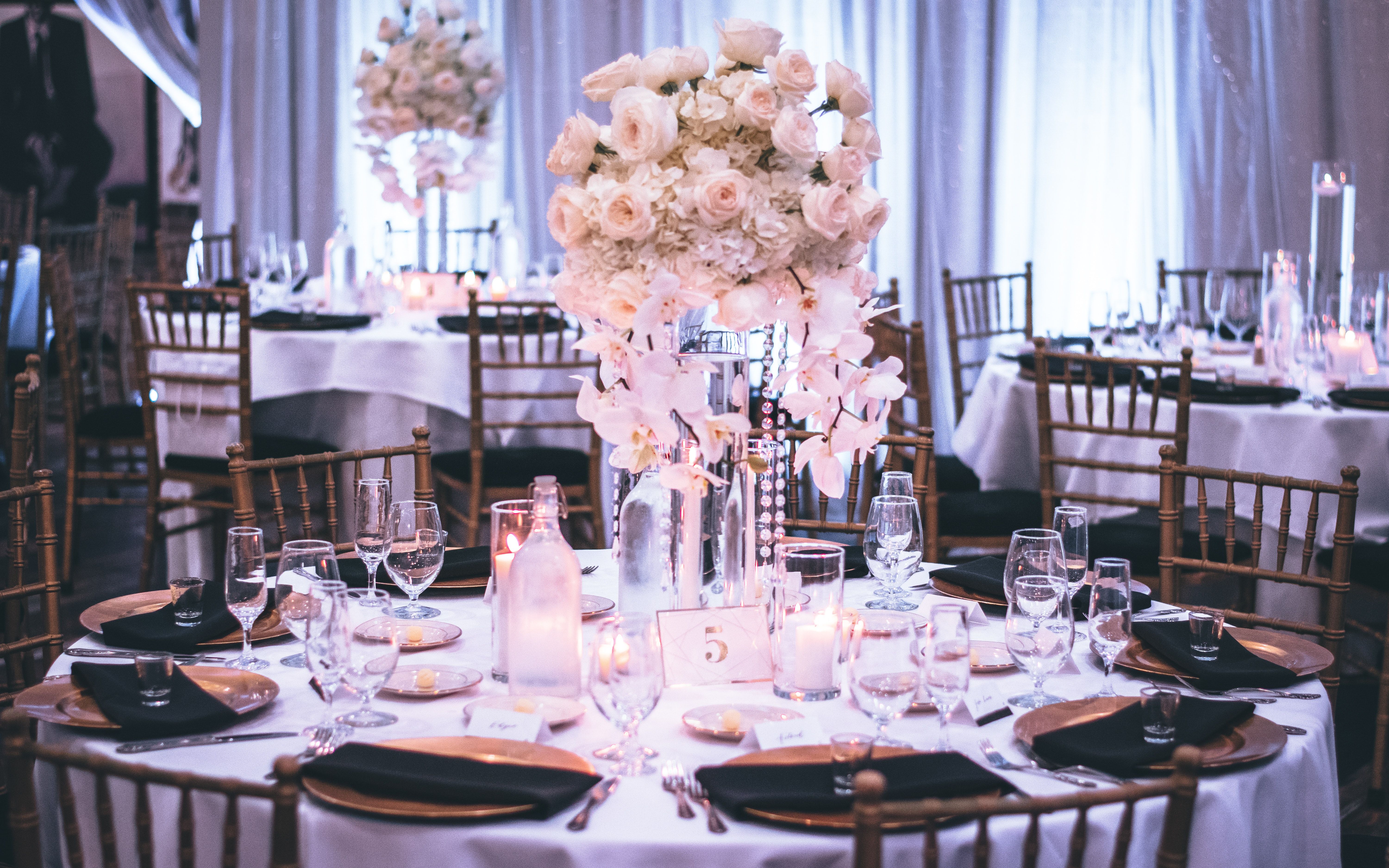 6000x3750 Wedding Party Photo, Download The BEST Free Wedding Party & HD Image