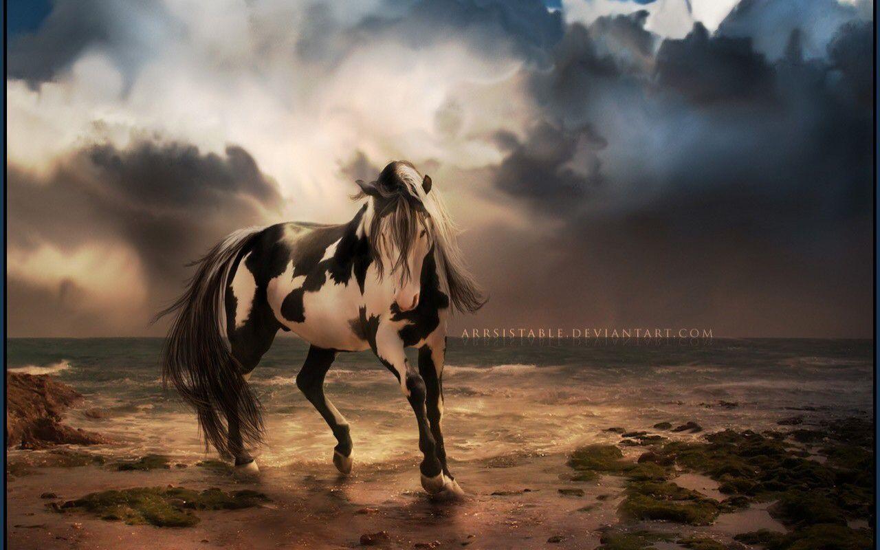 1280x800 Unique Desktop Wallpaper. Deborh beautiful finds. Horses, Horse