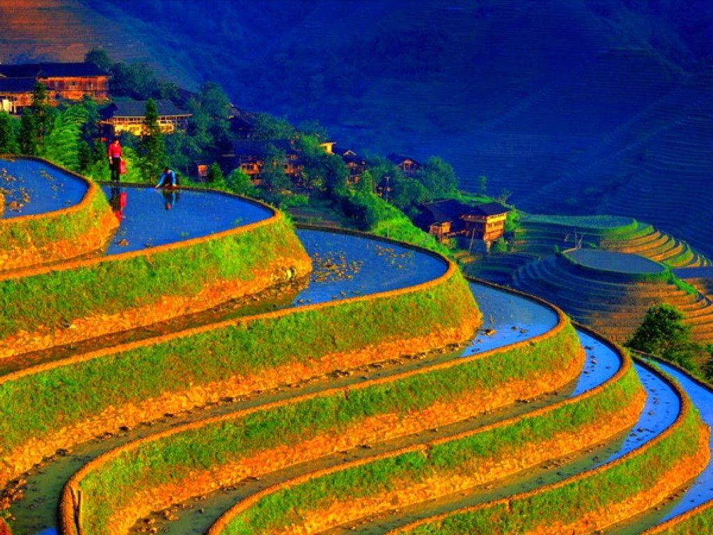 1024x768 Fields: Chinese Landscape Cool Phone Wallpaper for HD 16:9 High