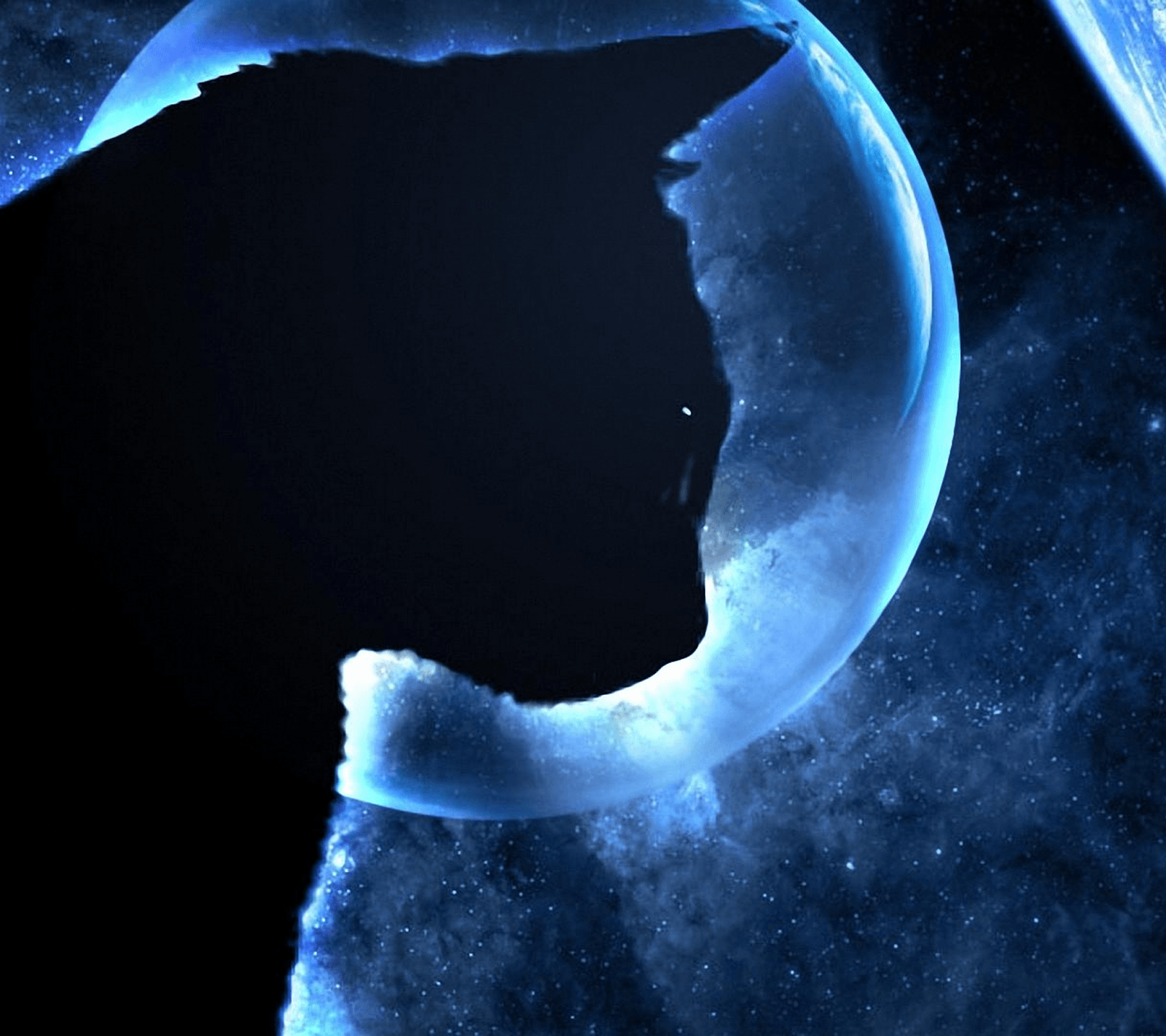 1600x1422 Black Whatsapp Wallpaper, image collections of wallpaper