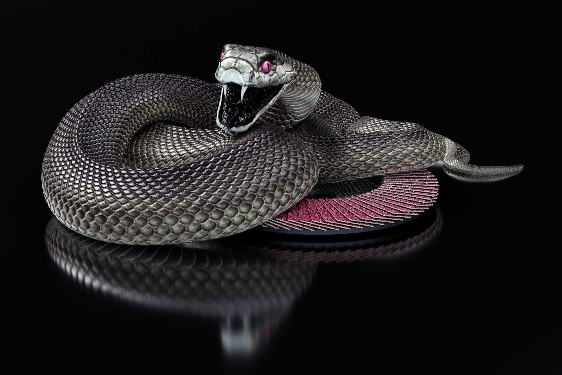 1920x1280 Black Snake Skin Wallpaper