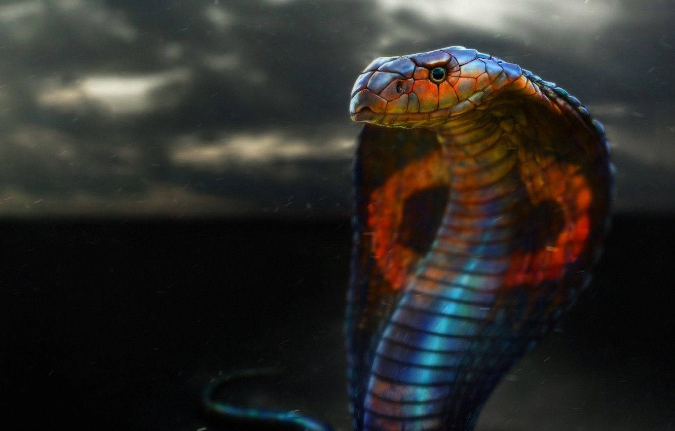 1332x850 Download Cobra Black And Red Storm Clouds Wallpaper