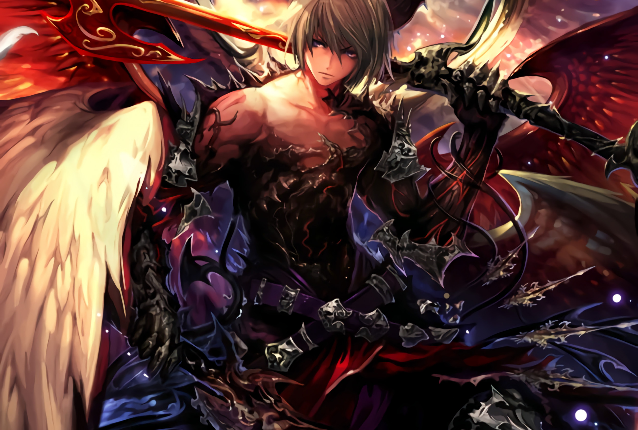 2500x1686 Shingeki No Bahamut Wallpaper
