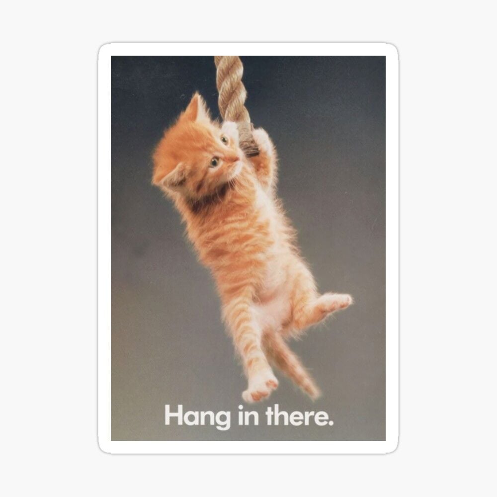 hang-in-there-hang-in-there-pinterest