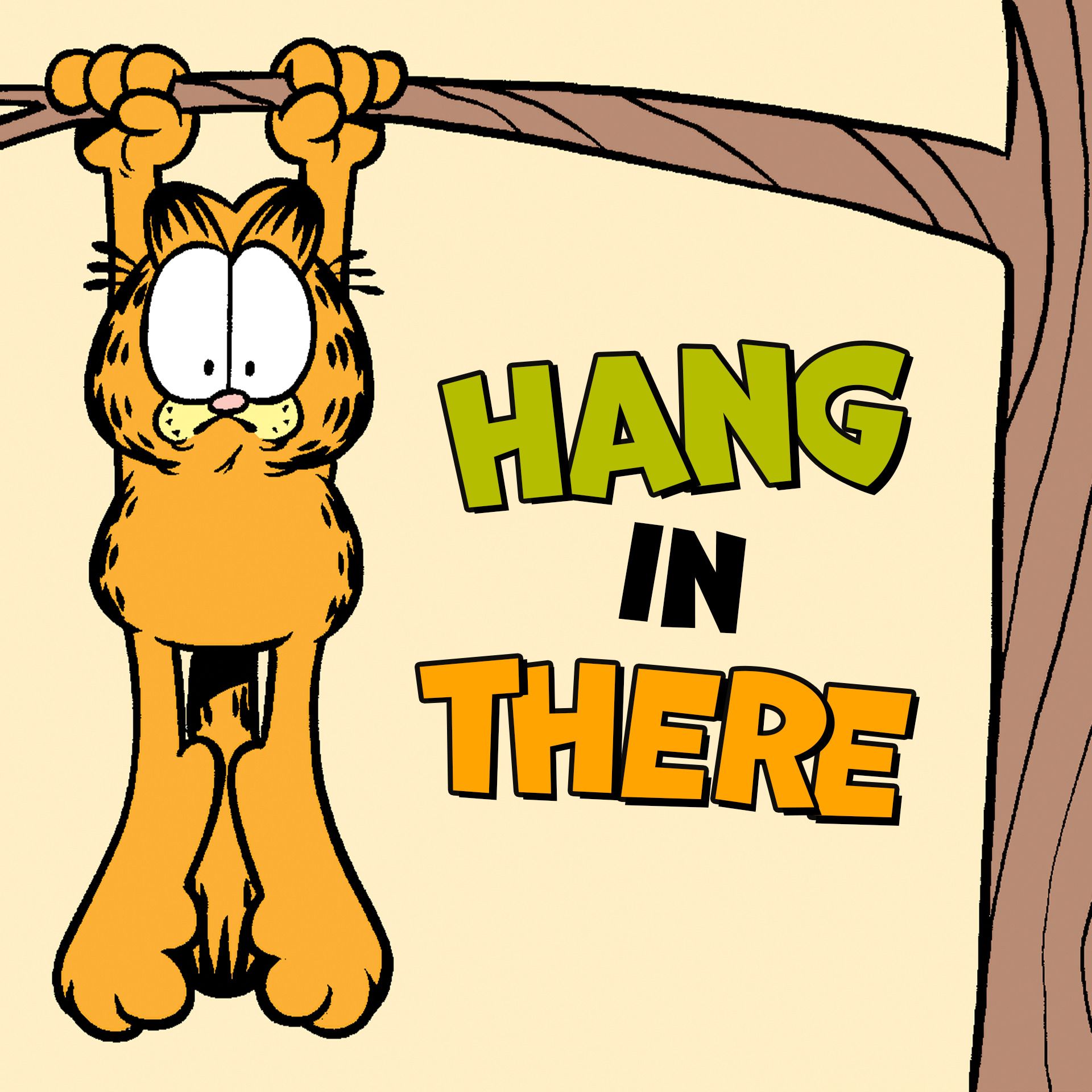 Hang in There Wallpapers - Top Free Hang in There Backgrounds ...