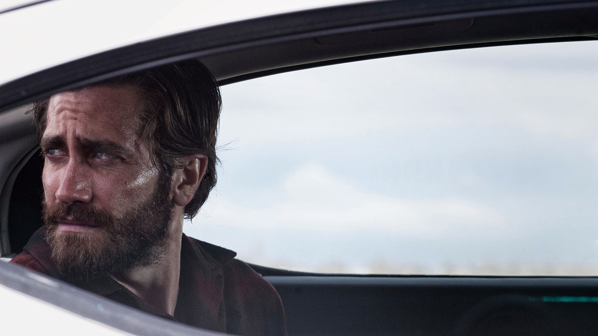 1920x1080 Movie Nocturnal Animals HD Wallpaper