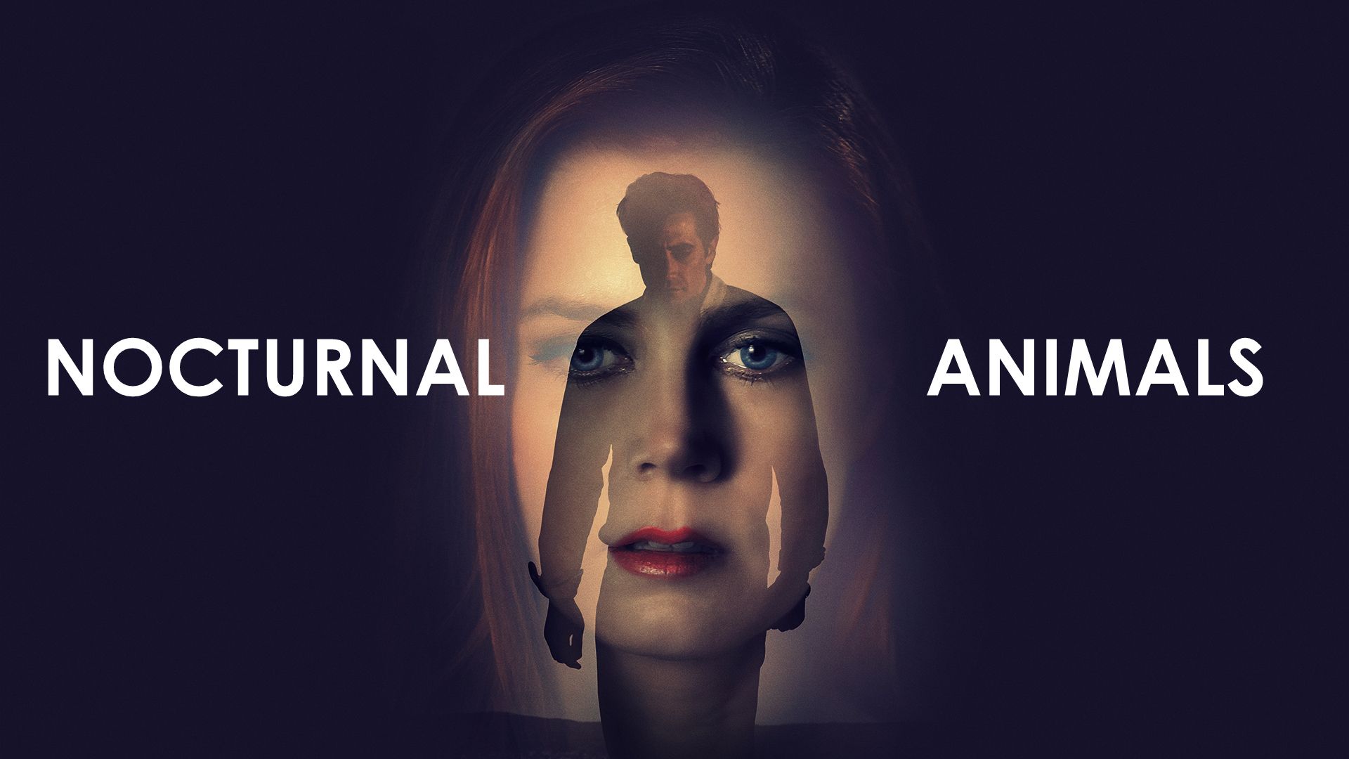 1920x1080 Nocturnal Animals Review (2016). Full Analysis and Ending Explained