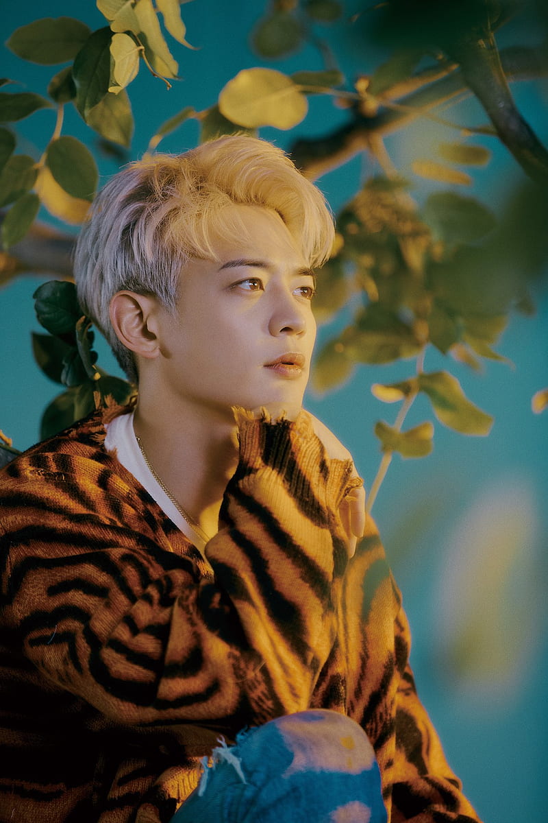 800x1200 HD choi minho wallpaper