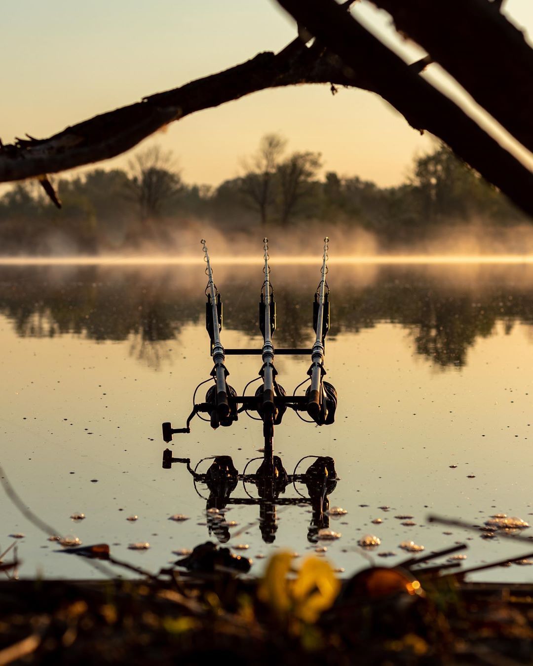 Carpfishing Wallpapers - Top Free Carpfishing Backgrounds - WallpaperAccess