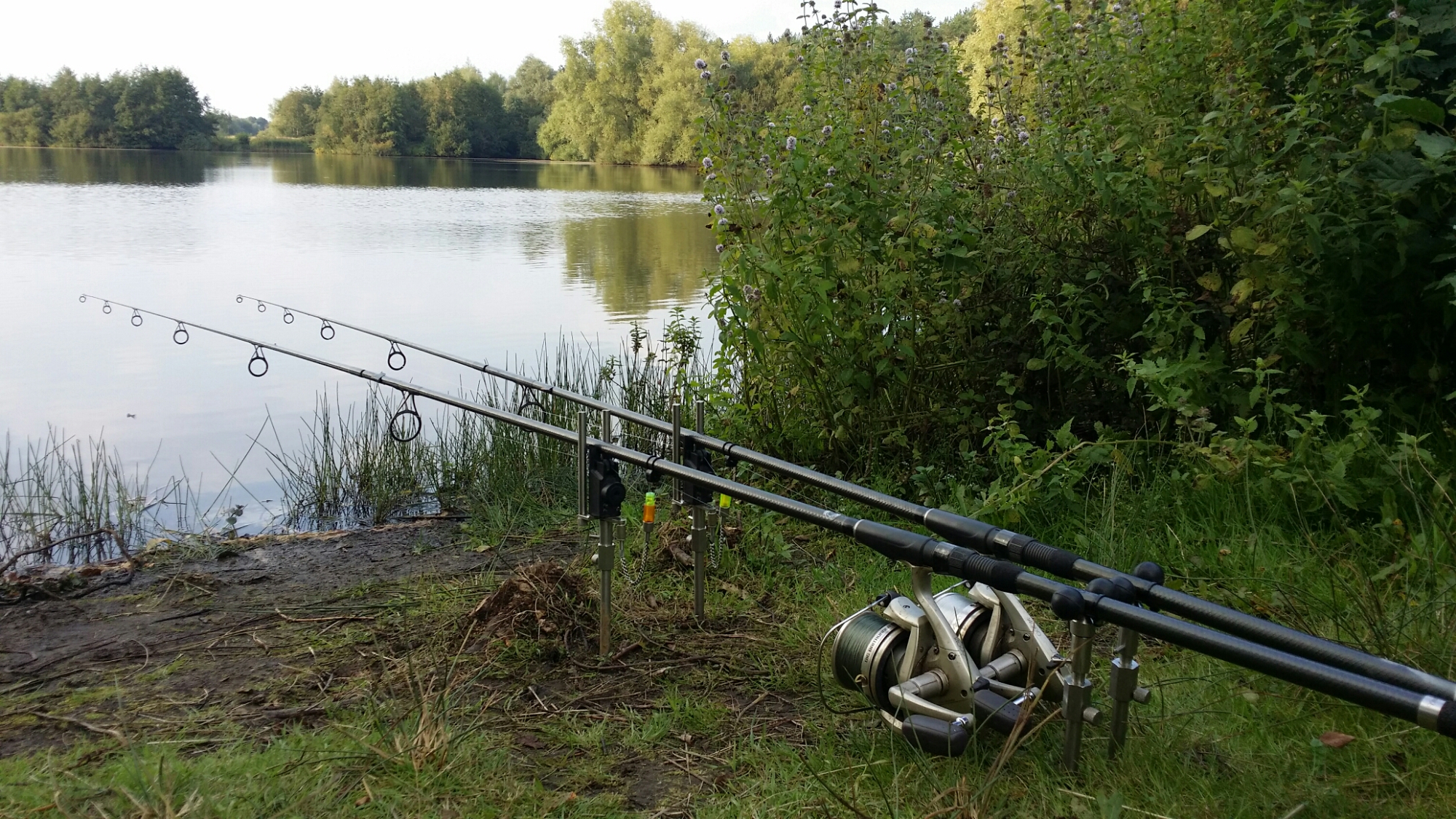 2000x1125 Carp Fishing Wallpaper
