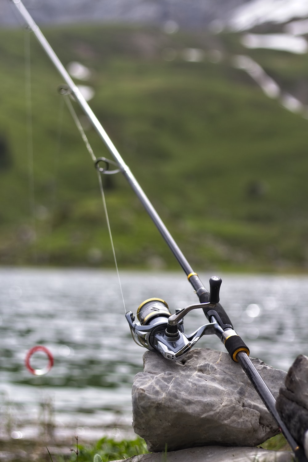 1000x1500 Carp Fishing Picture. Download Free Image