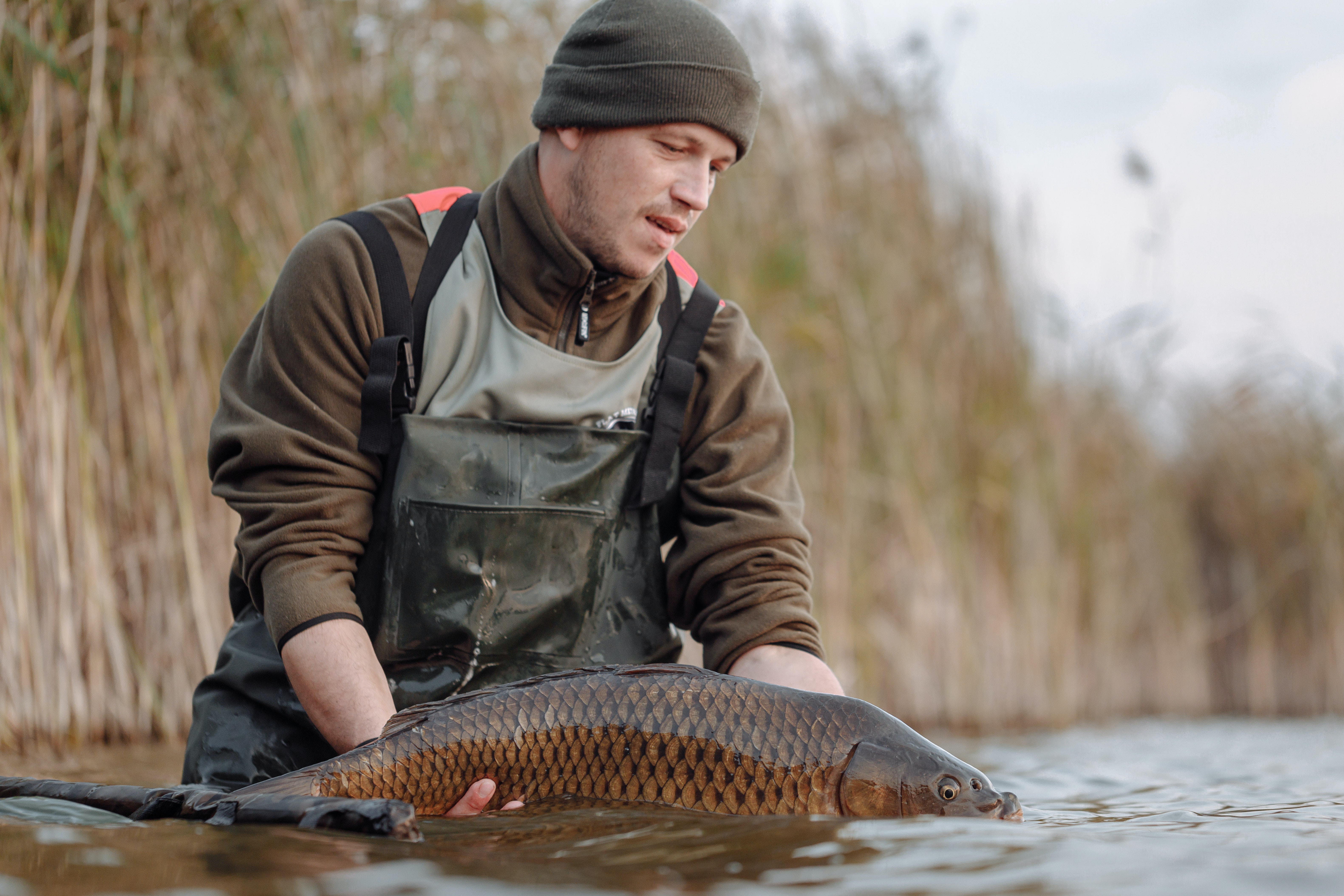 6325x4217 Carp Fishing Photo, Download The BEST Free Carp Fishing & HD Image
