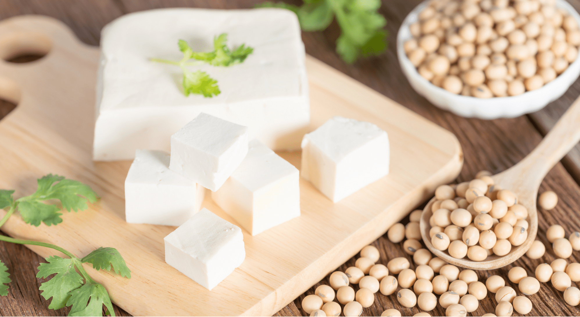 1996x1091 Tofu: What is it? Is it Healthy? How to Cook with it?