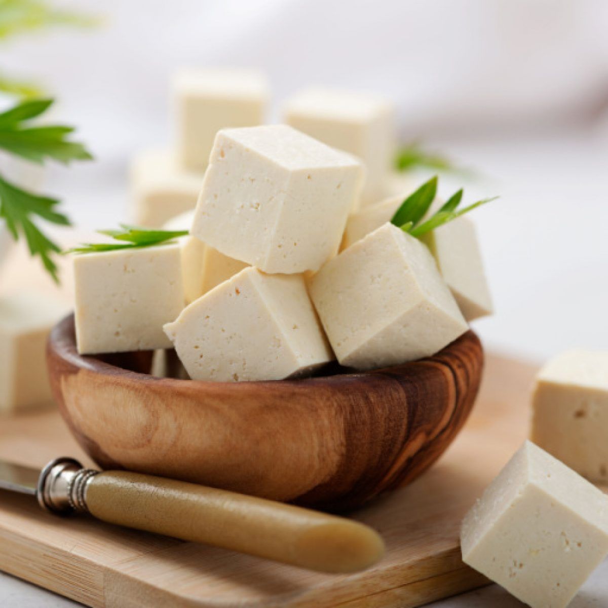 1200x1200 Which Is The Healthier Protein Or Paneer? Find Out The Difference