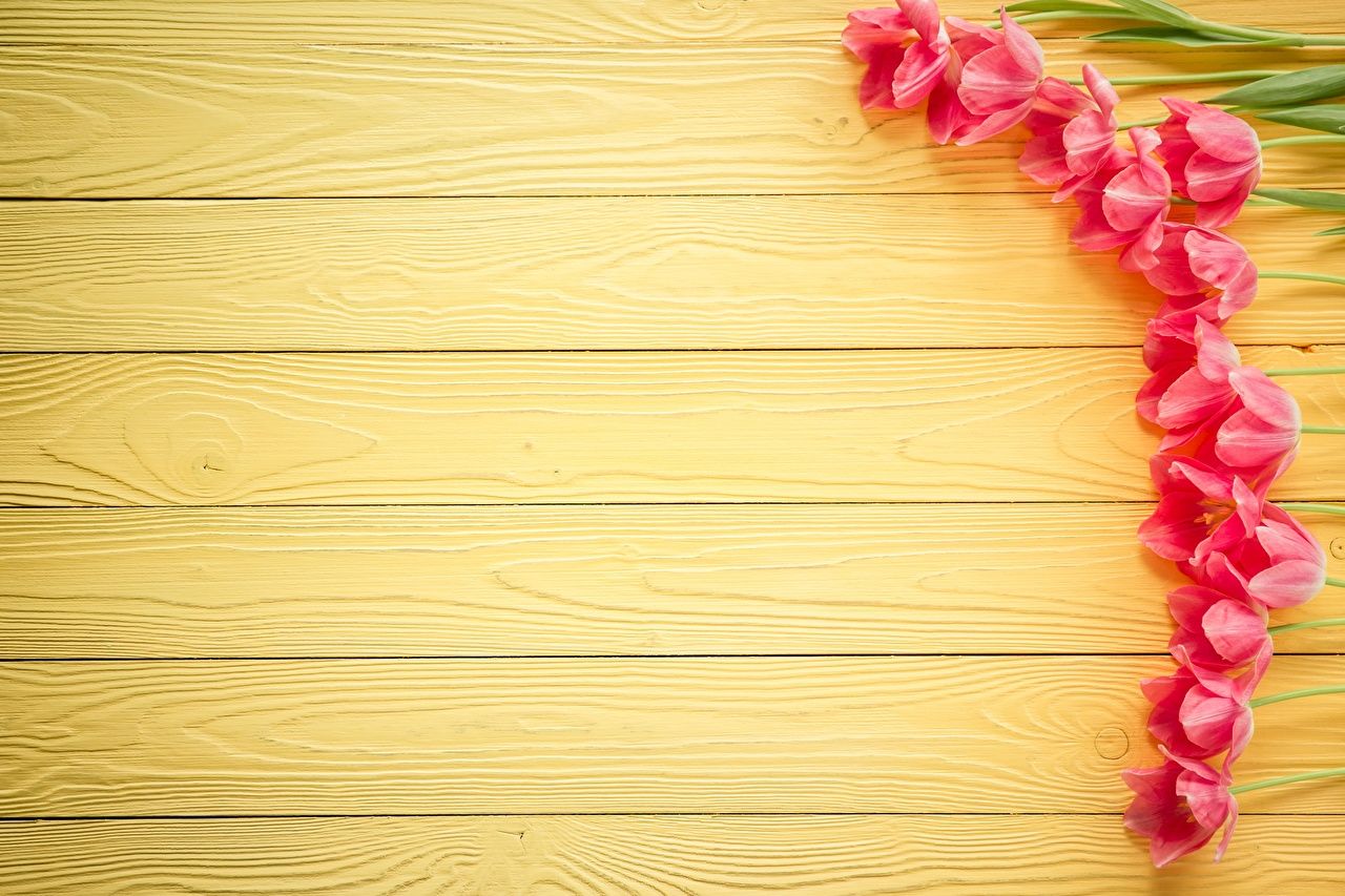 1280x853 Greeting Card Wallpaper