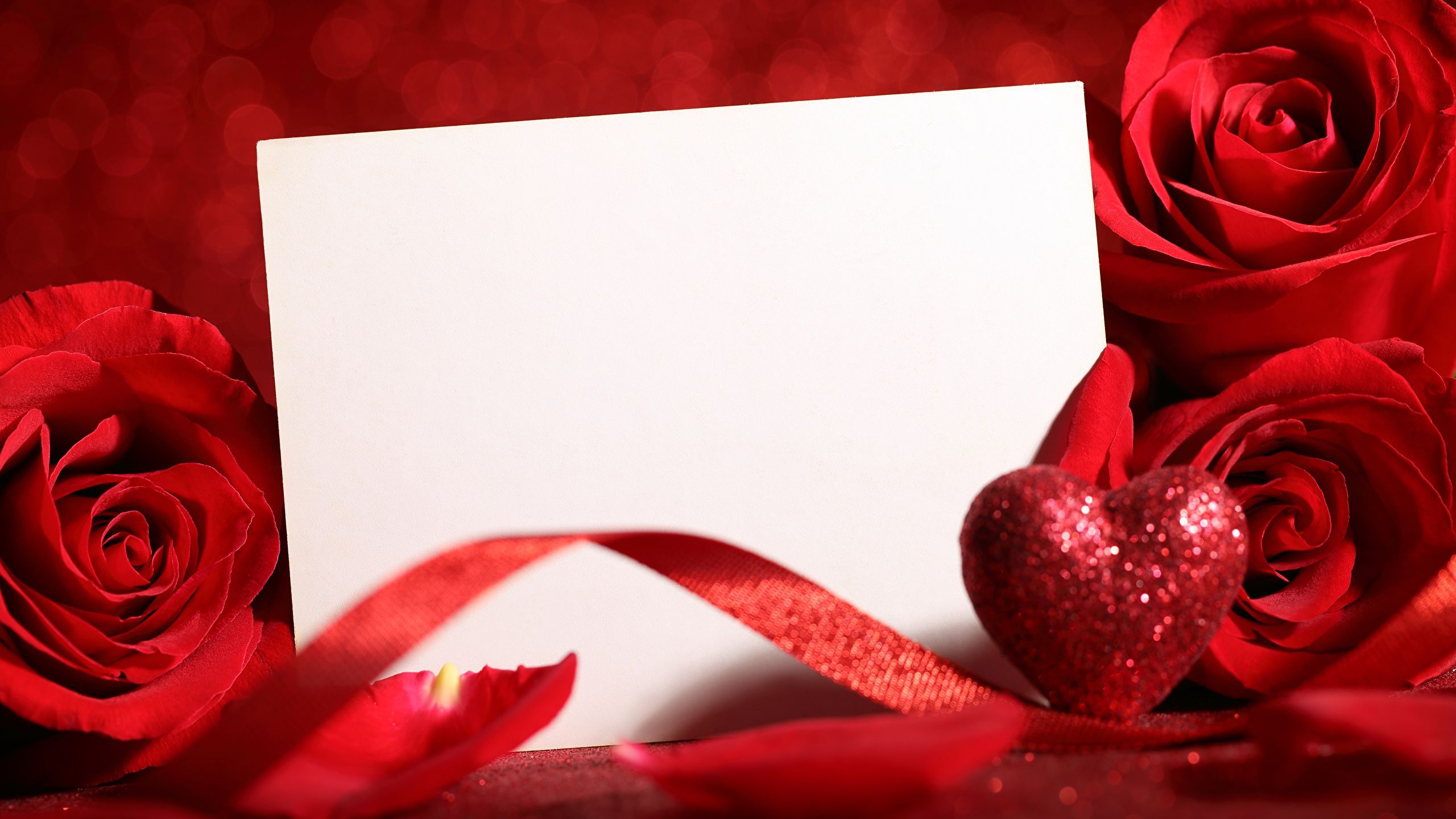 2560x1440 Wallpaper Red rose Flowers Ribbon Template greeting card 2560x1440