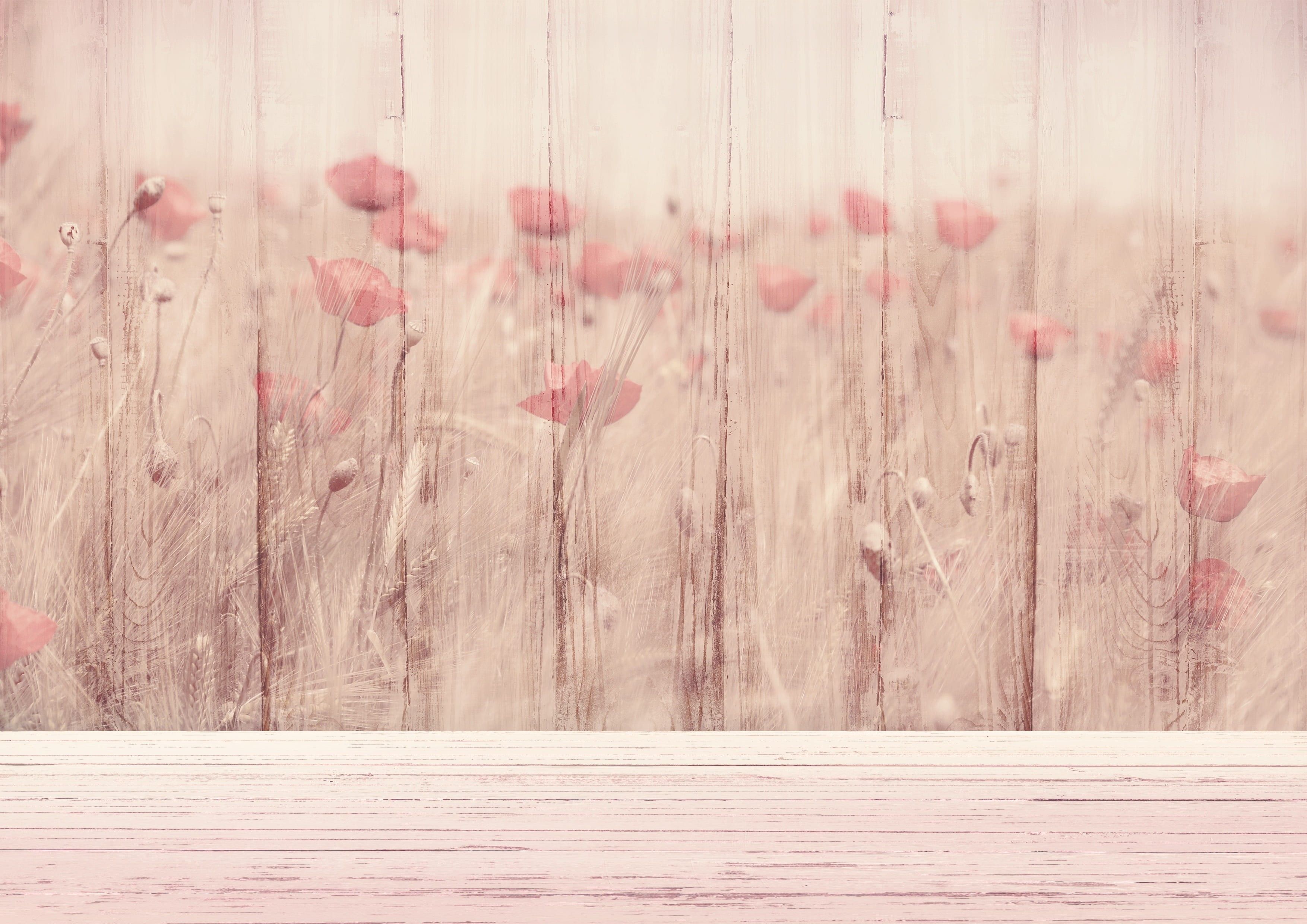 3508x2480 Wallpaper / nature, wood, growth, greeting card, vintage, rustic, pictureque, field of flowers, digital map, full frame, texture, atmospheric, flowers, table, birthday card free download