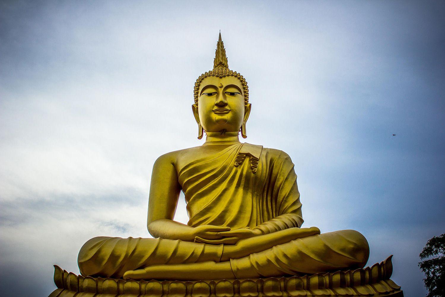 1500x1000 Buy Golden Lord Buddha Wallpaper Online in India at Best Price