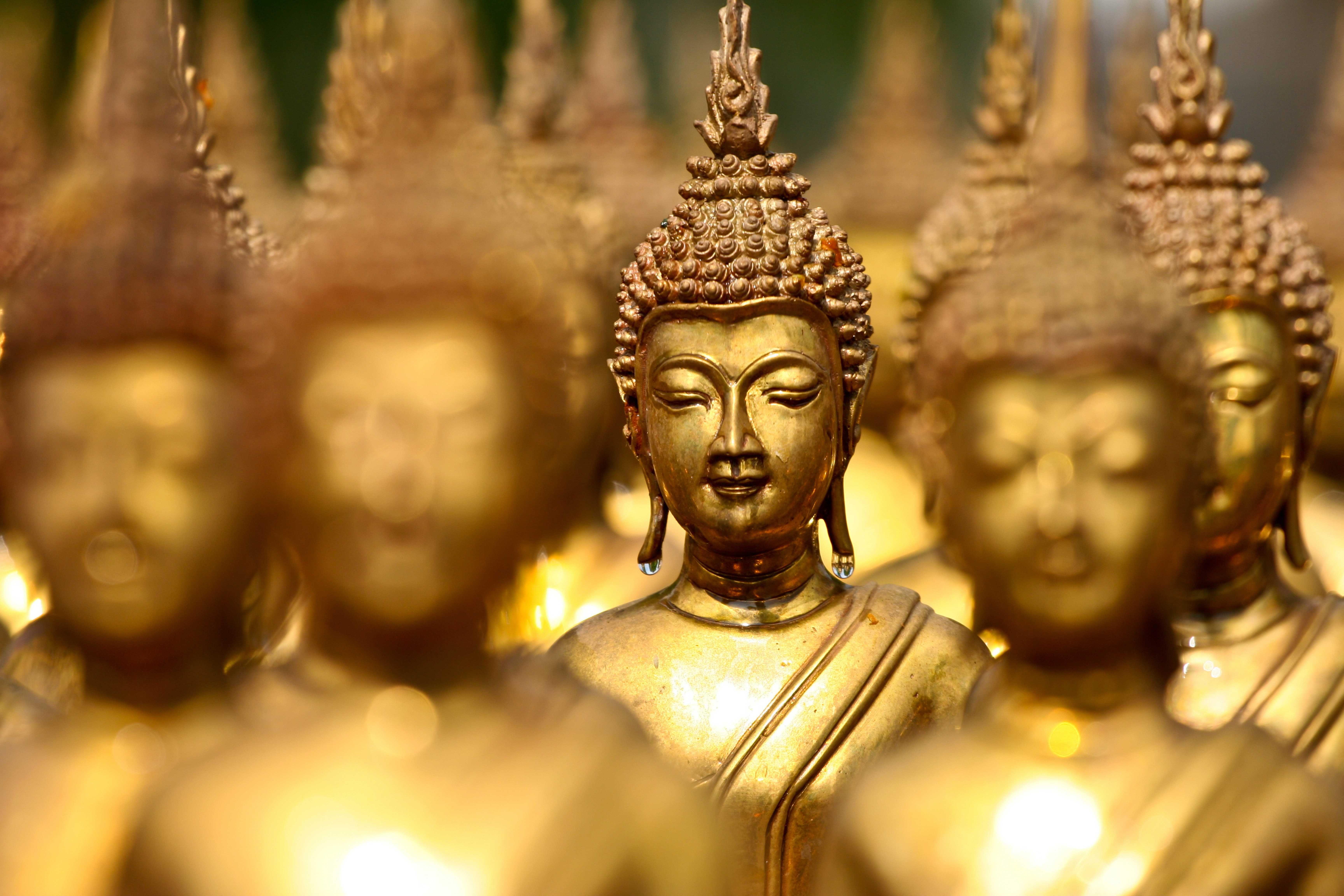 6912x4608 Hình nền Phật Gautama https://wallpaperaccess.com/full/977785.jpg