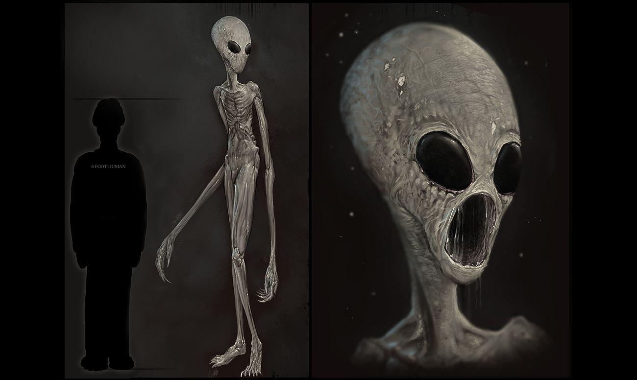 1300x776 Download Alien Wallpaper 1300x776