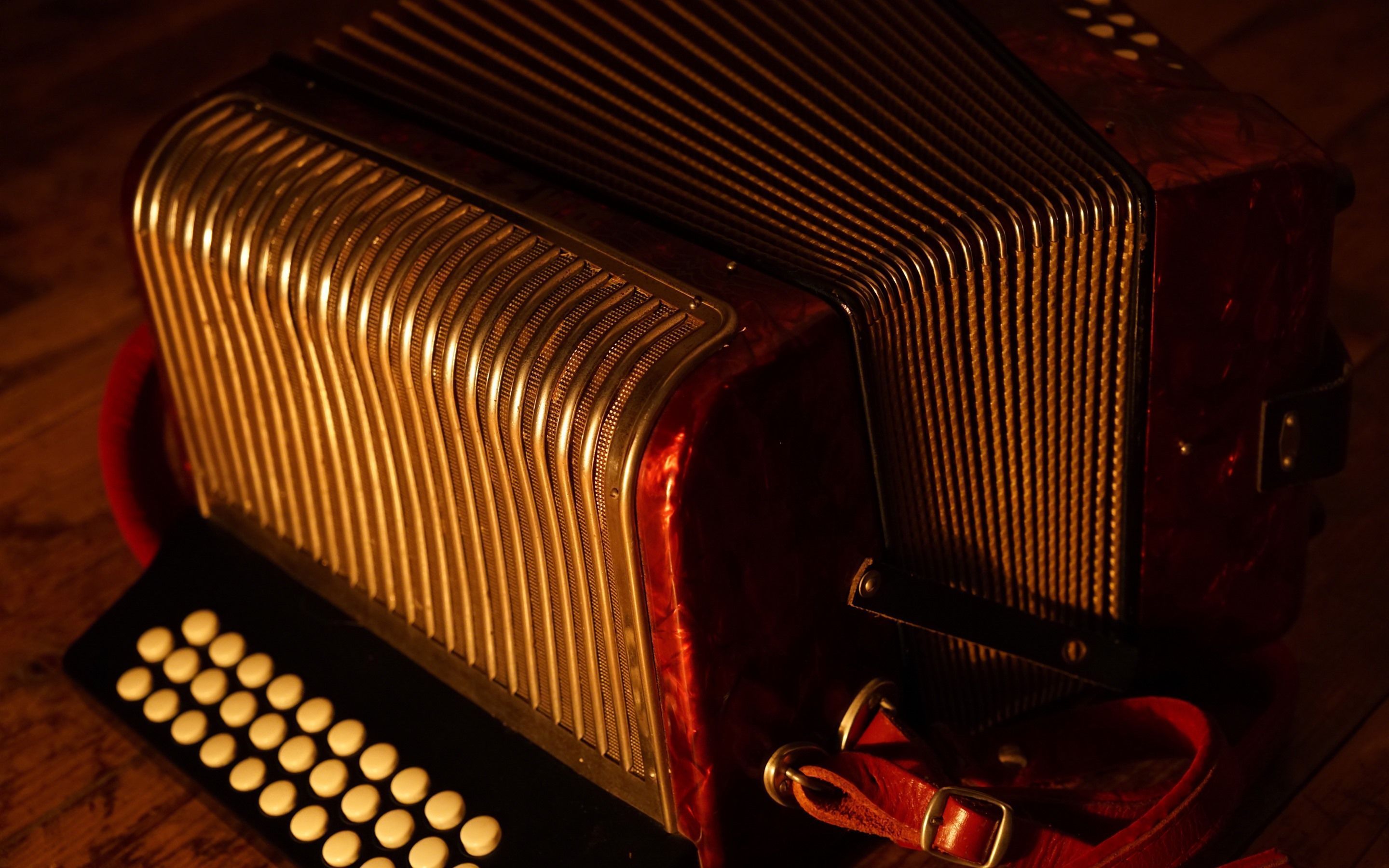 Accordion Wallpapers - Top Free Accordion Backgrounds - WallpaperAccess