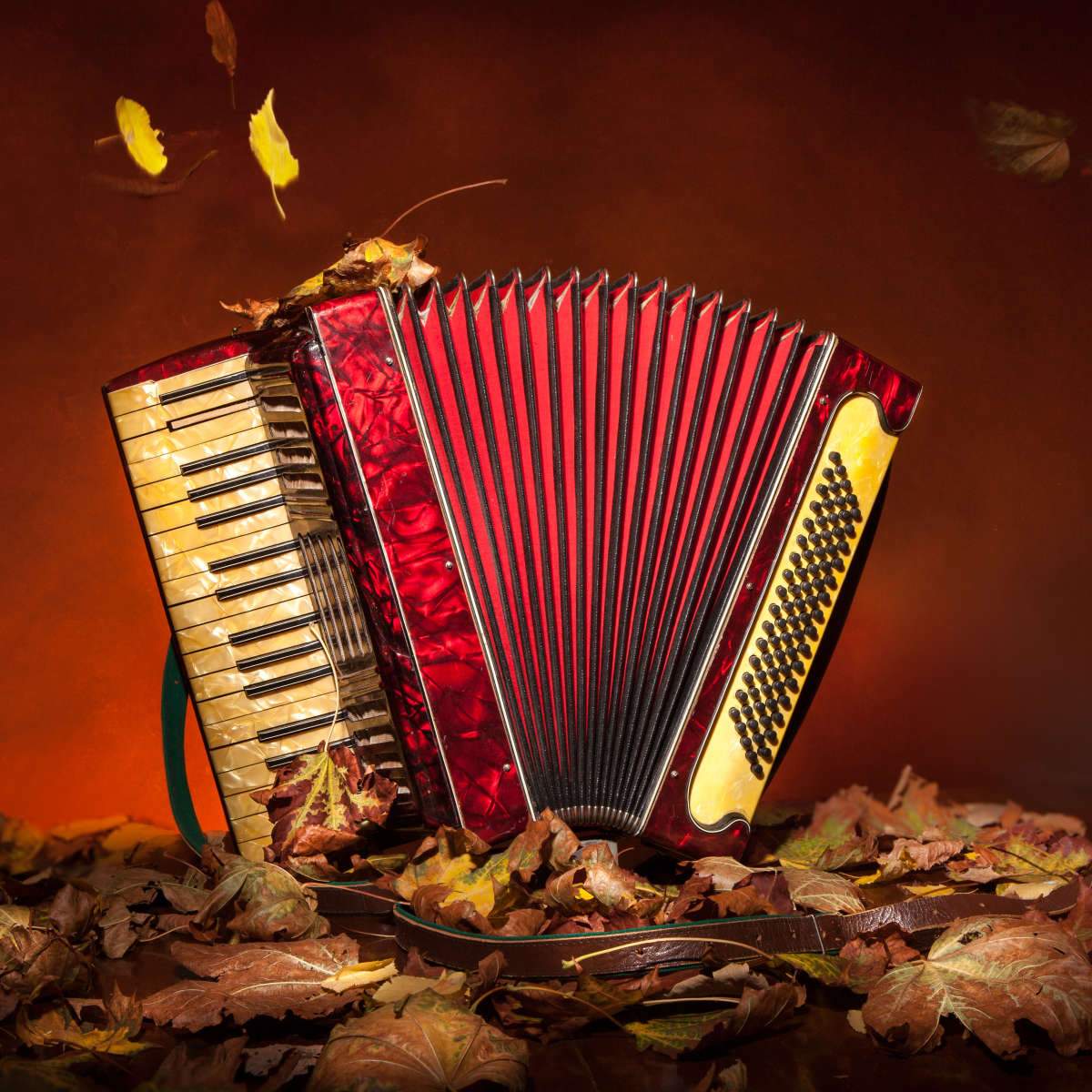 Accordion Wallpapers - Top Free Accordion Backgrounds - WallpaperAccess