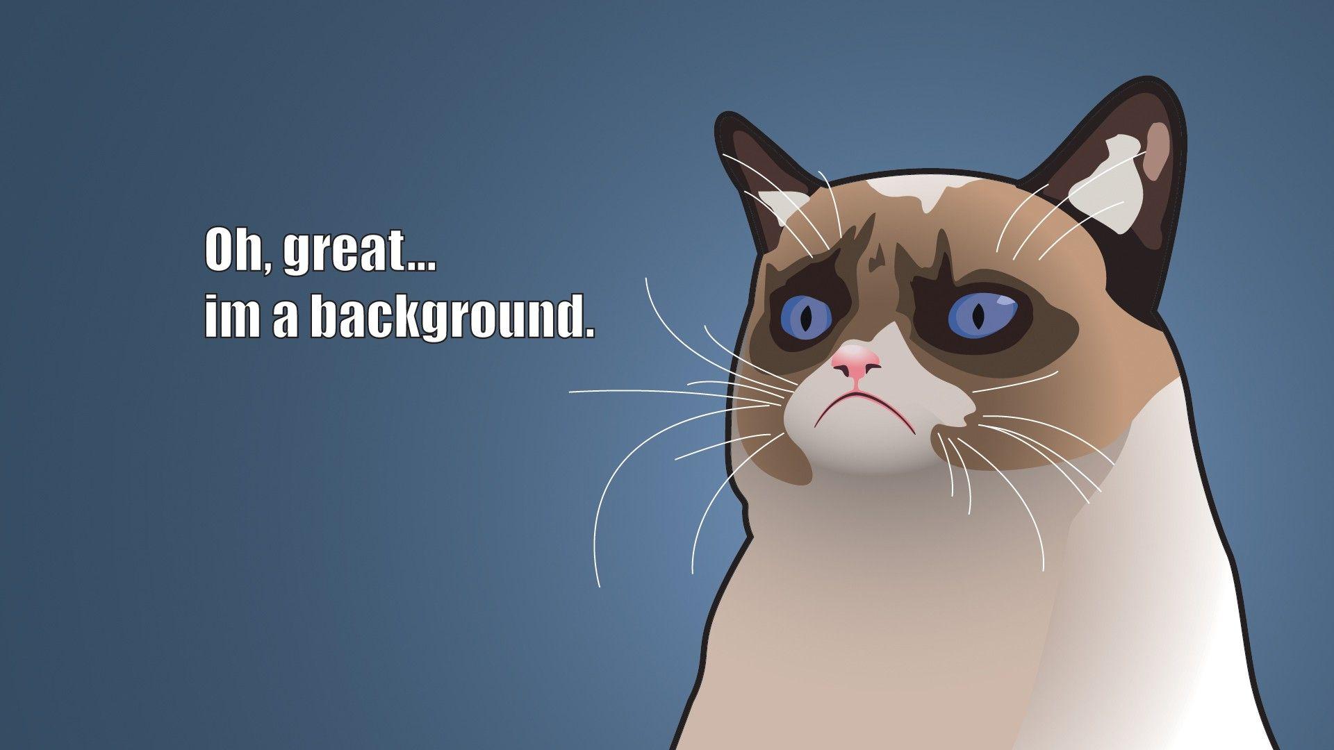 Animated Cat Desktop Wallpapers - Top Free Animated Cat Desktop Backgrounds - WallpaperAccess