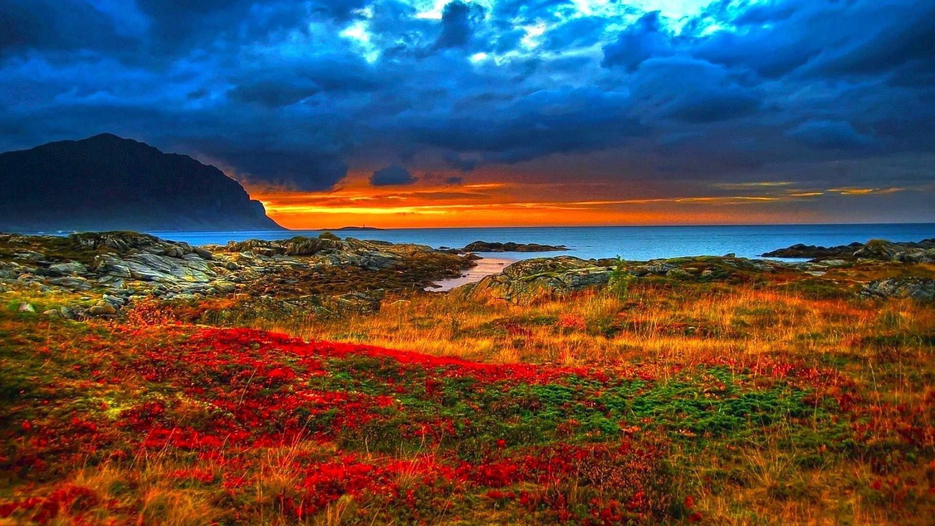 1920x1080 Beautiful Nature Wallpaper HD