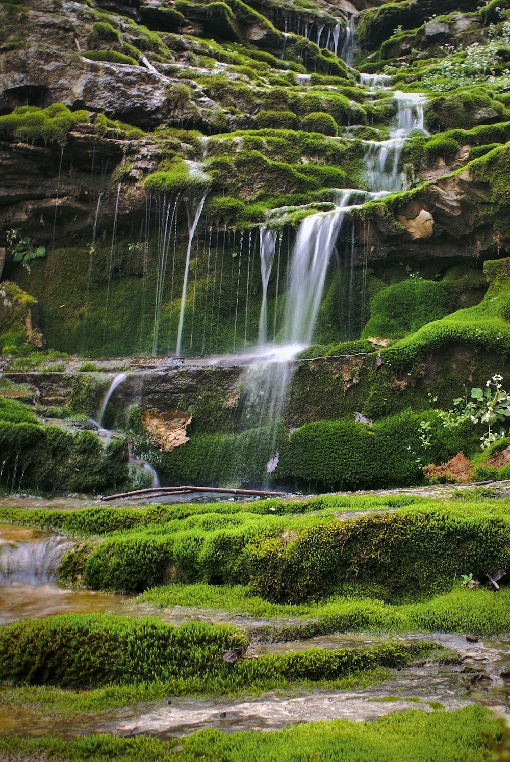 1000x1495 Natural Image [HD]. Download Free Nature Picture