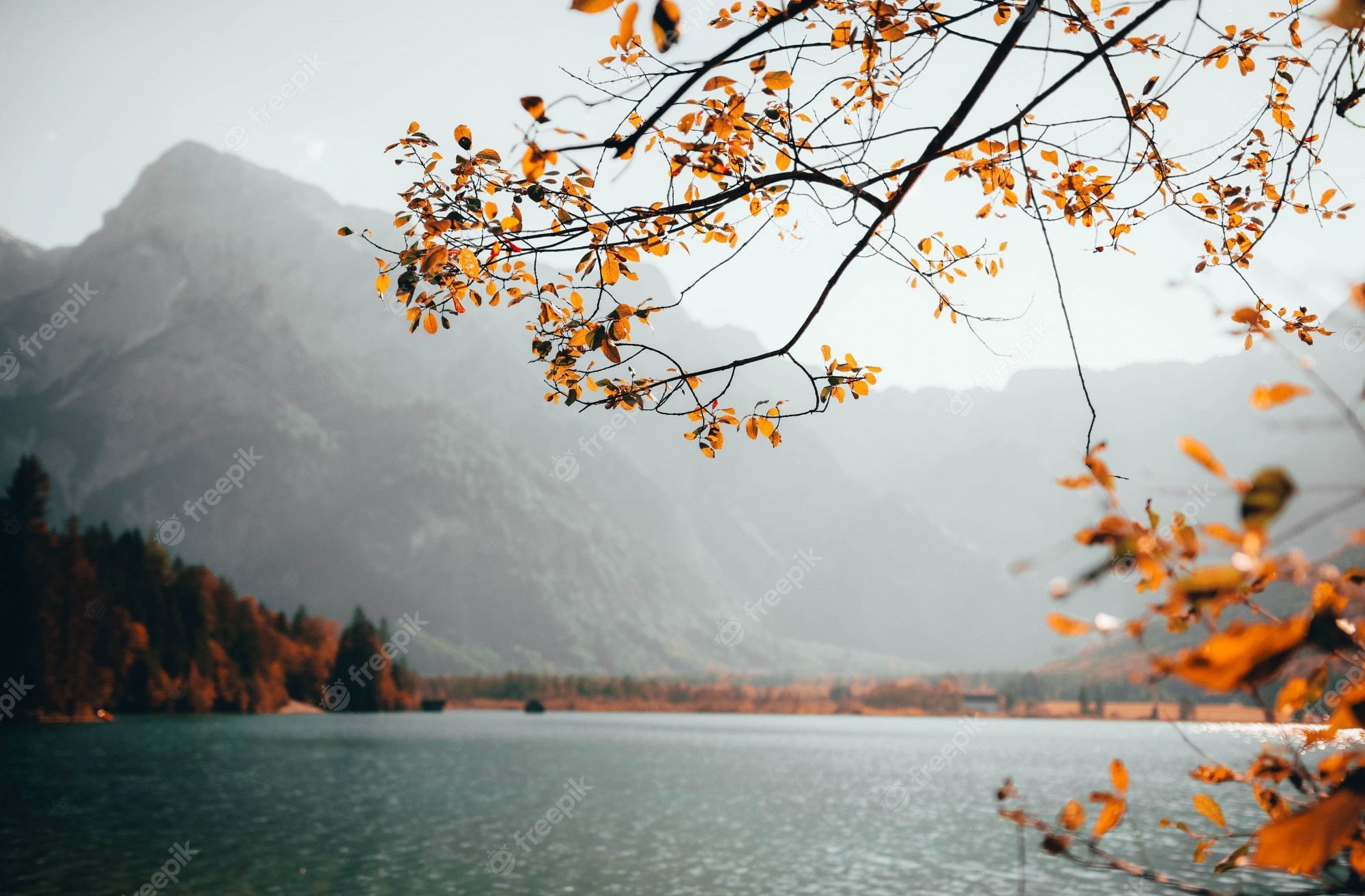2000x1313 Nature Wallpaper Image