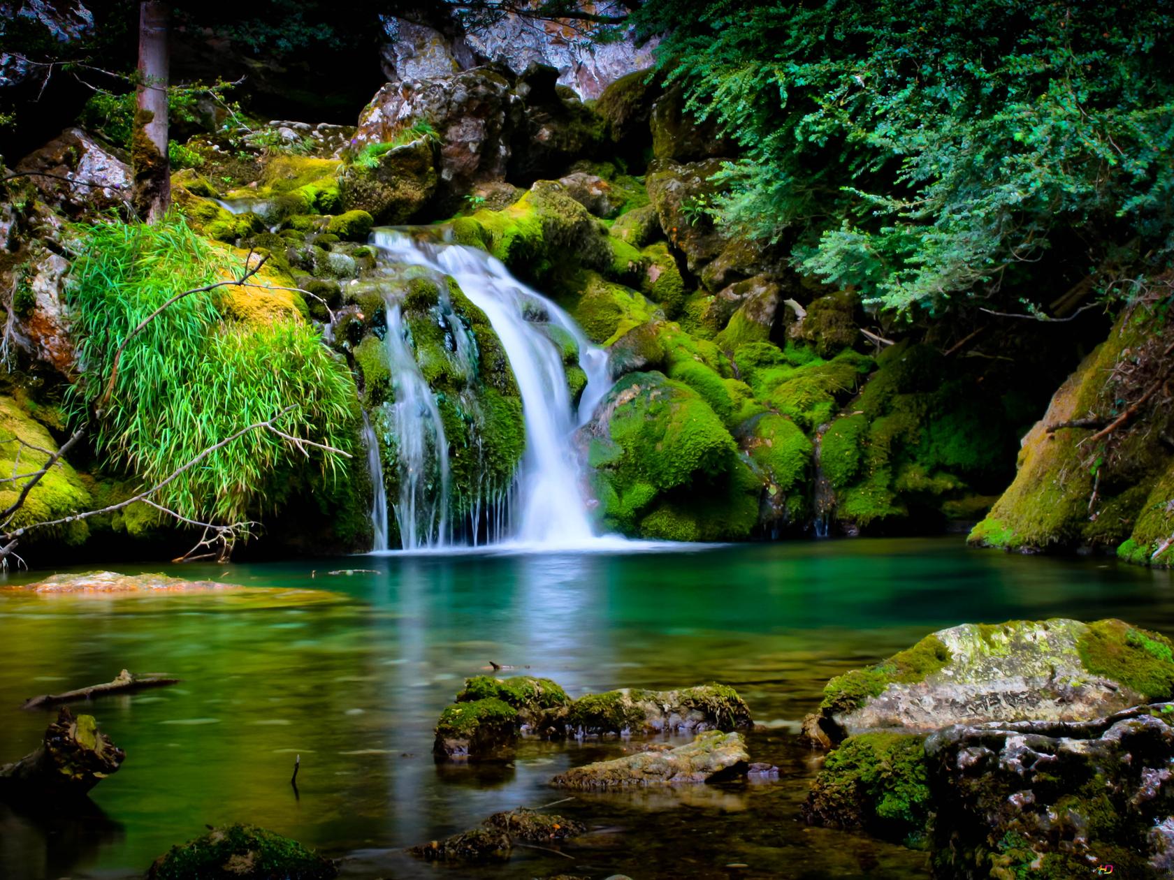 1680x1260 Vercors forest with its untouched beauty in nature, mossy stones, flowing waterfall and clean waters 4K wallpaper download