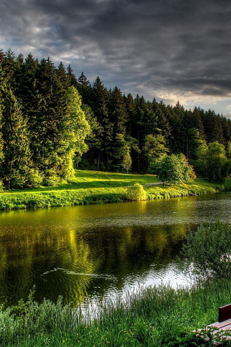 800x1200 Download Wallpaper 800x1200 River, Coast, Grass, Bench, Summer, Beautiful, Calm Iphone 4s 4 For Parallax HD Background