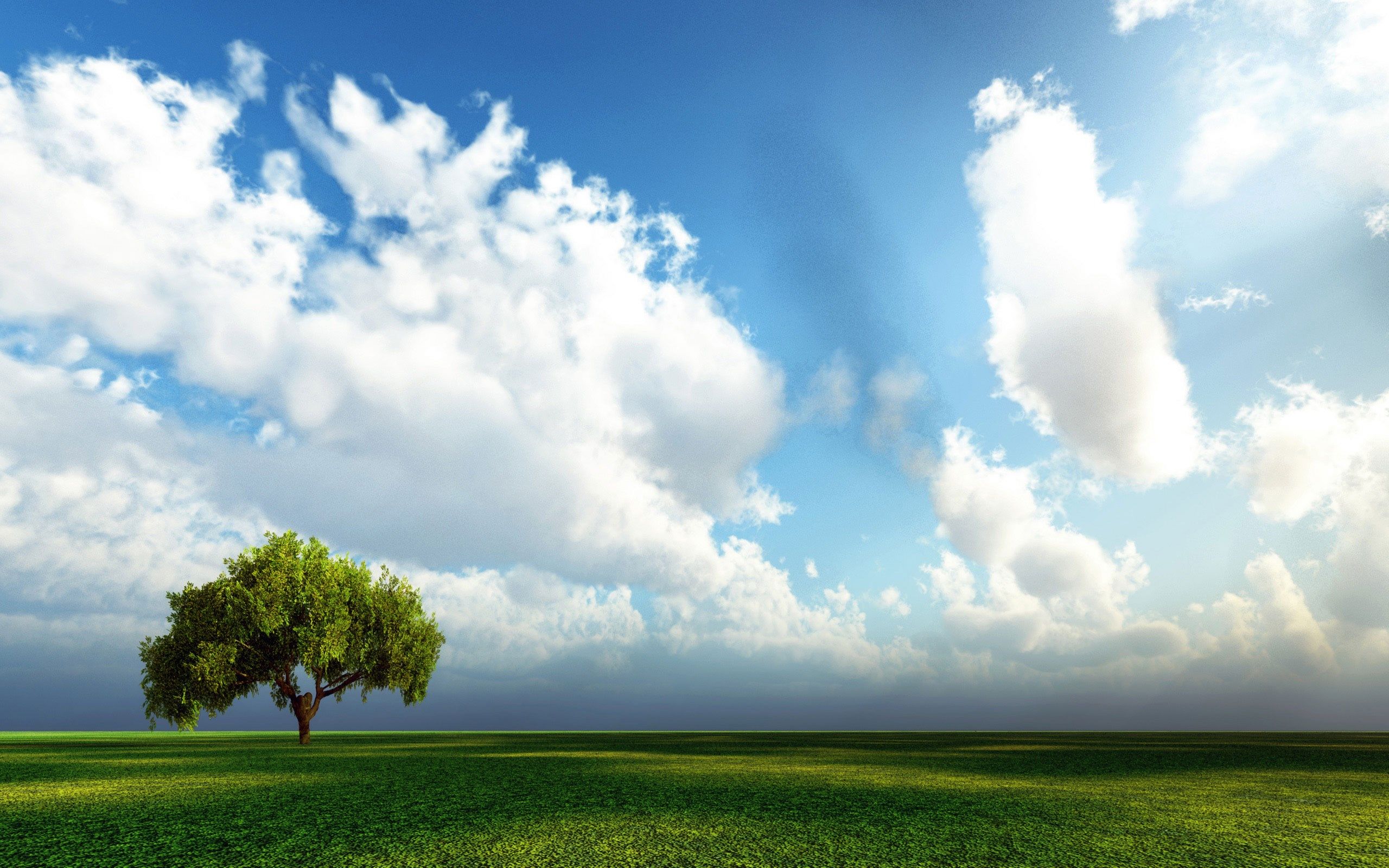 2560x1600 Beauty Of Nature Wallpaper [2560x1600]