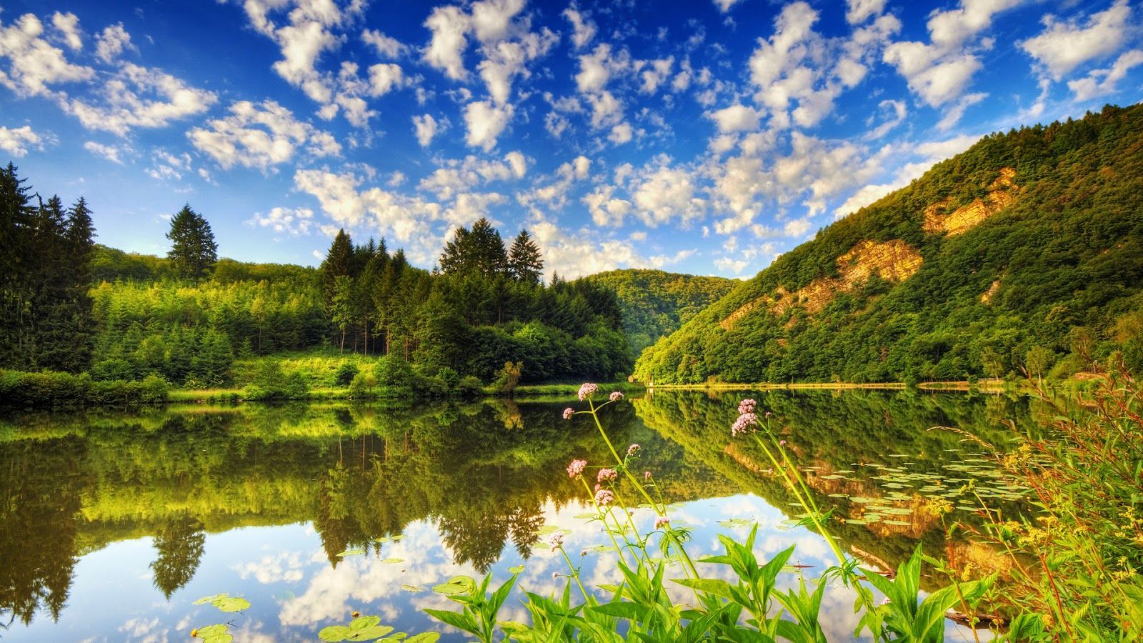 1600x900 Related image. Beautiful nature wallpaper hd, Beautiful nature wallpaper, Beautiful nature