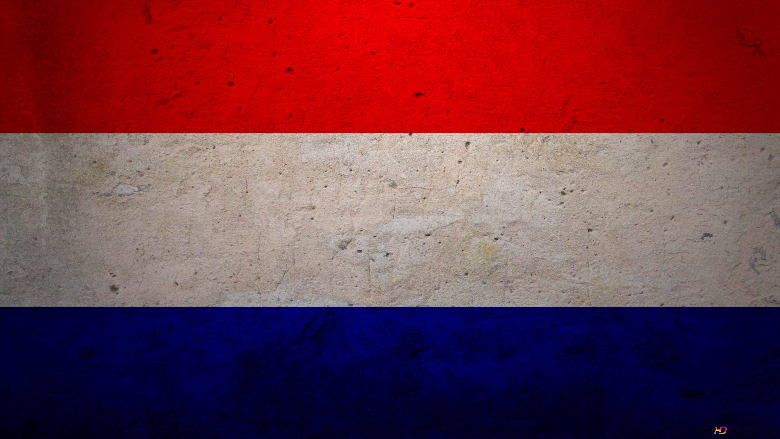 2560x1440 Hollands Flag 2K tapet download